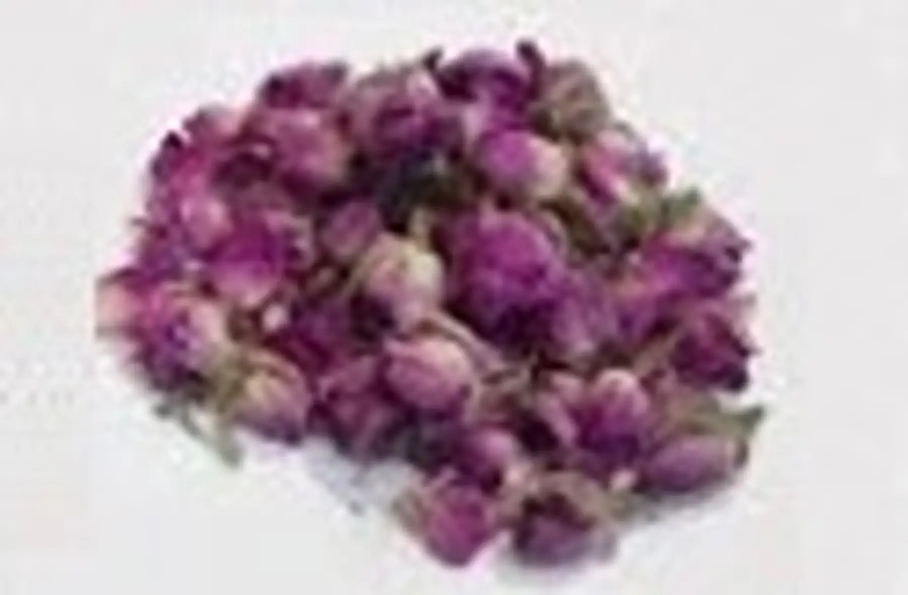 r.e.s.p.e.c.t.s. occitanie