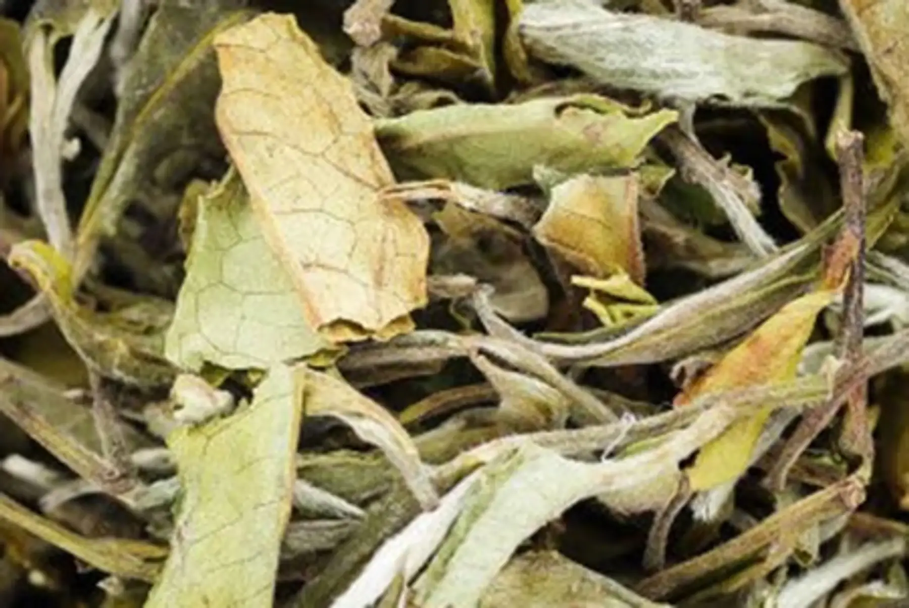 Thé blanc ; Nuages FF - BIO-Népal