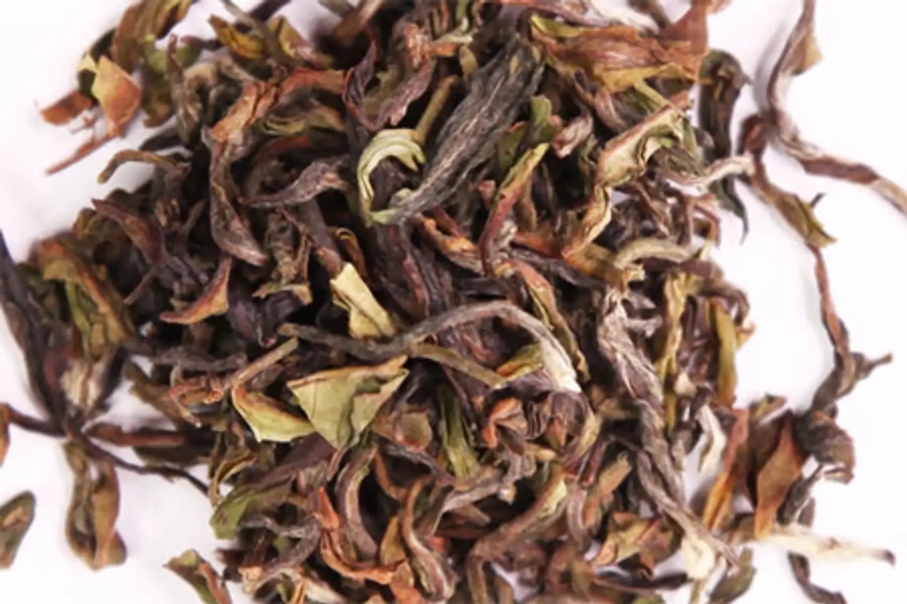 bleu des cimes ff- bio