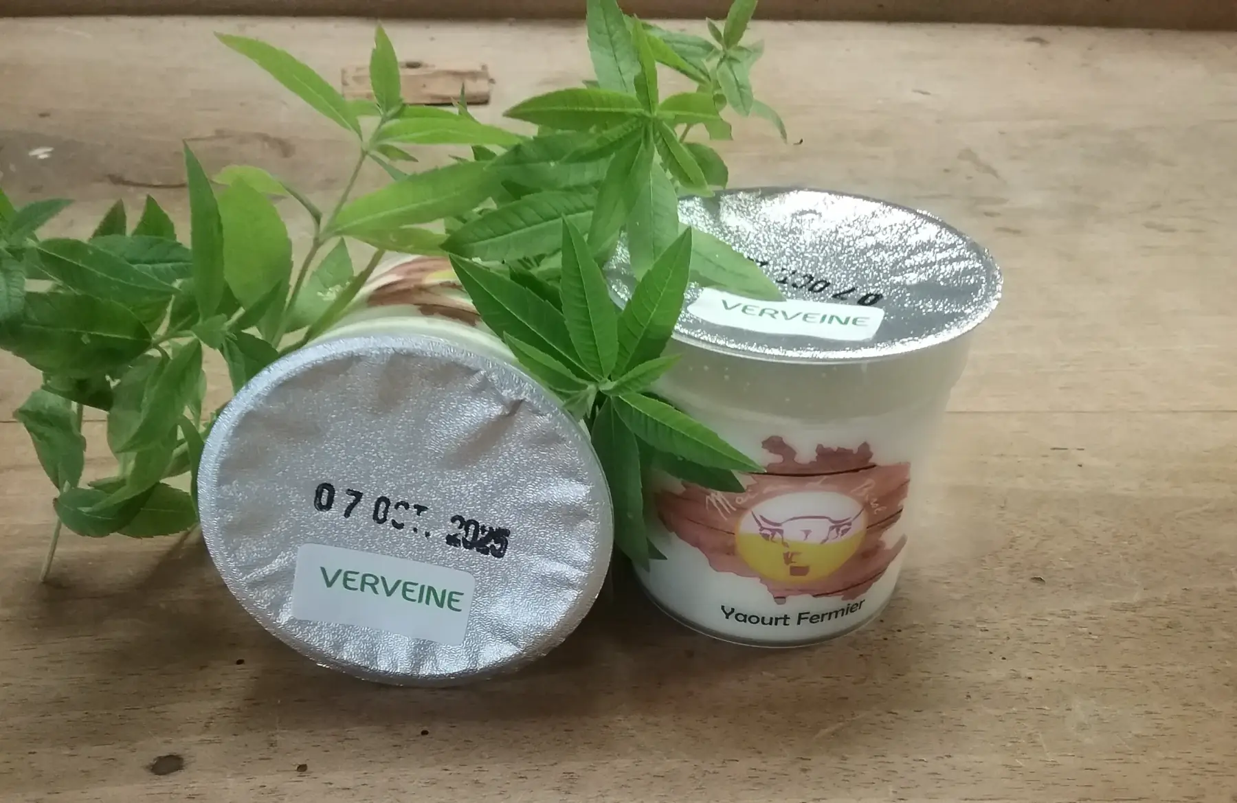 yaourt infusé à la Verveine