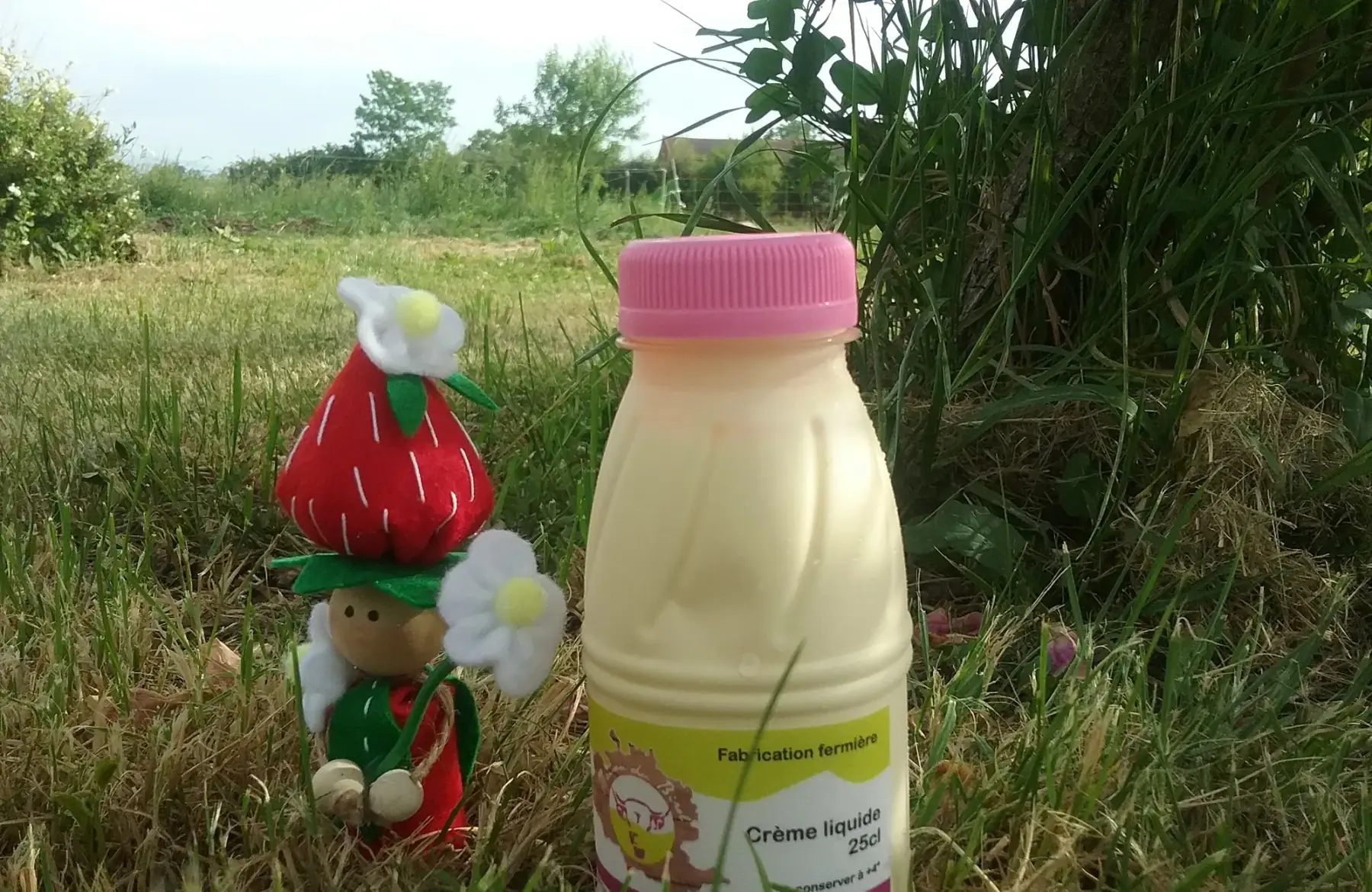 crème fraiche liquide