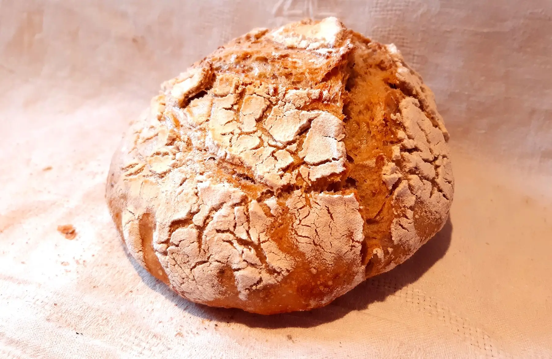 pain sésame 0, 5 kg