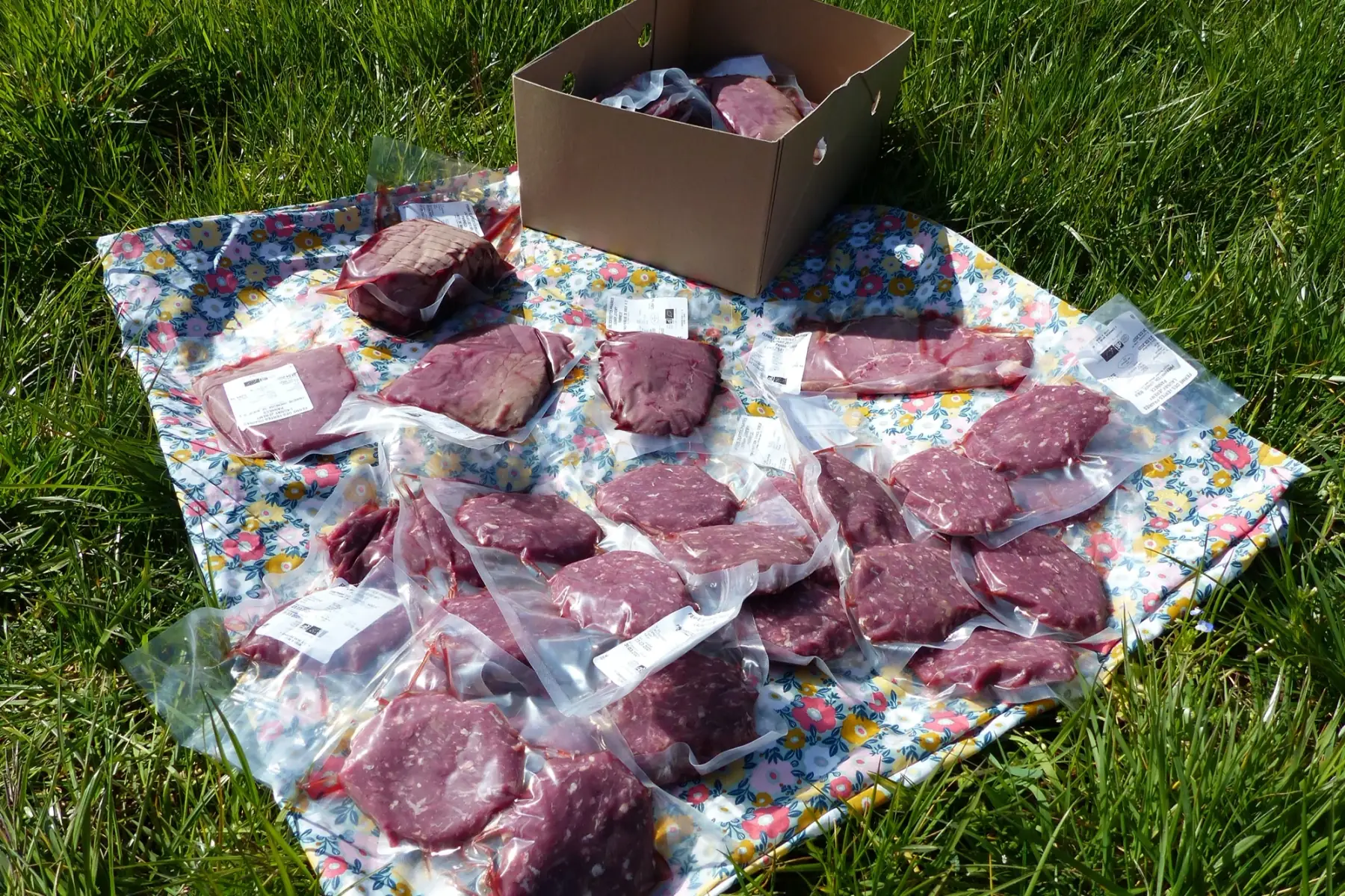 viande bovine - colis grillades - steak hachés - 10 kg