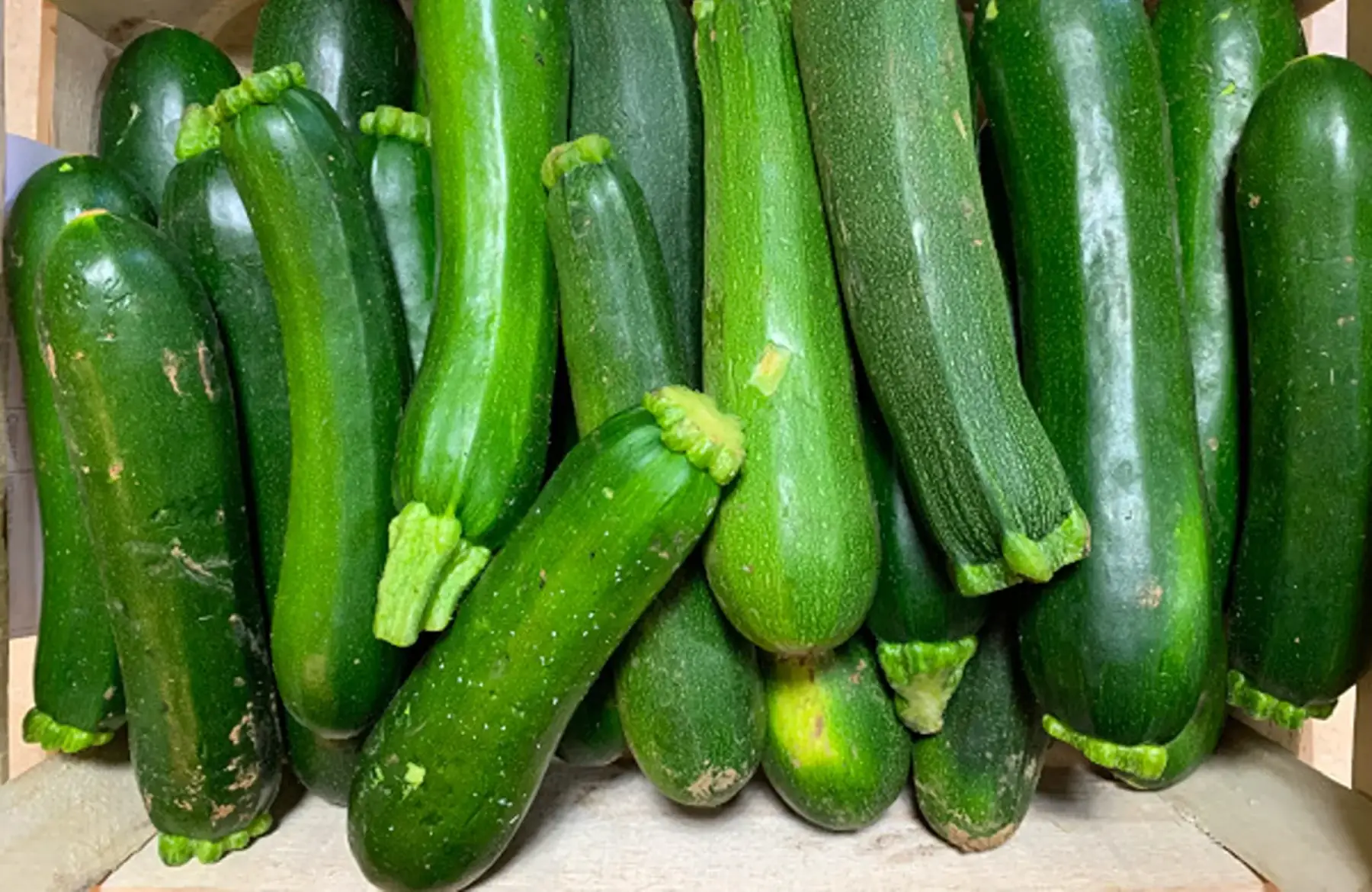 courgettes