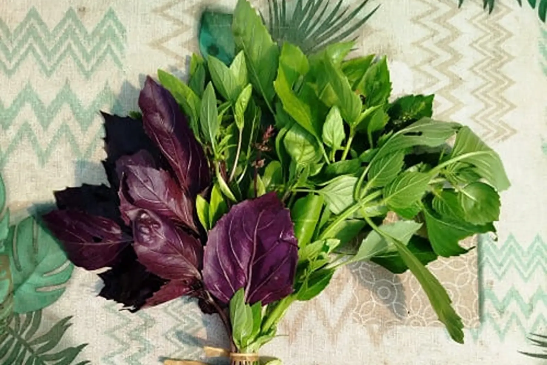 basilic mélange - botte