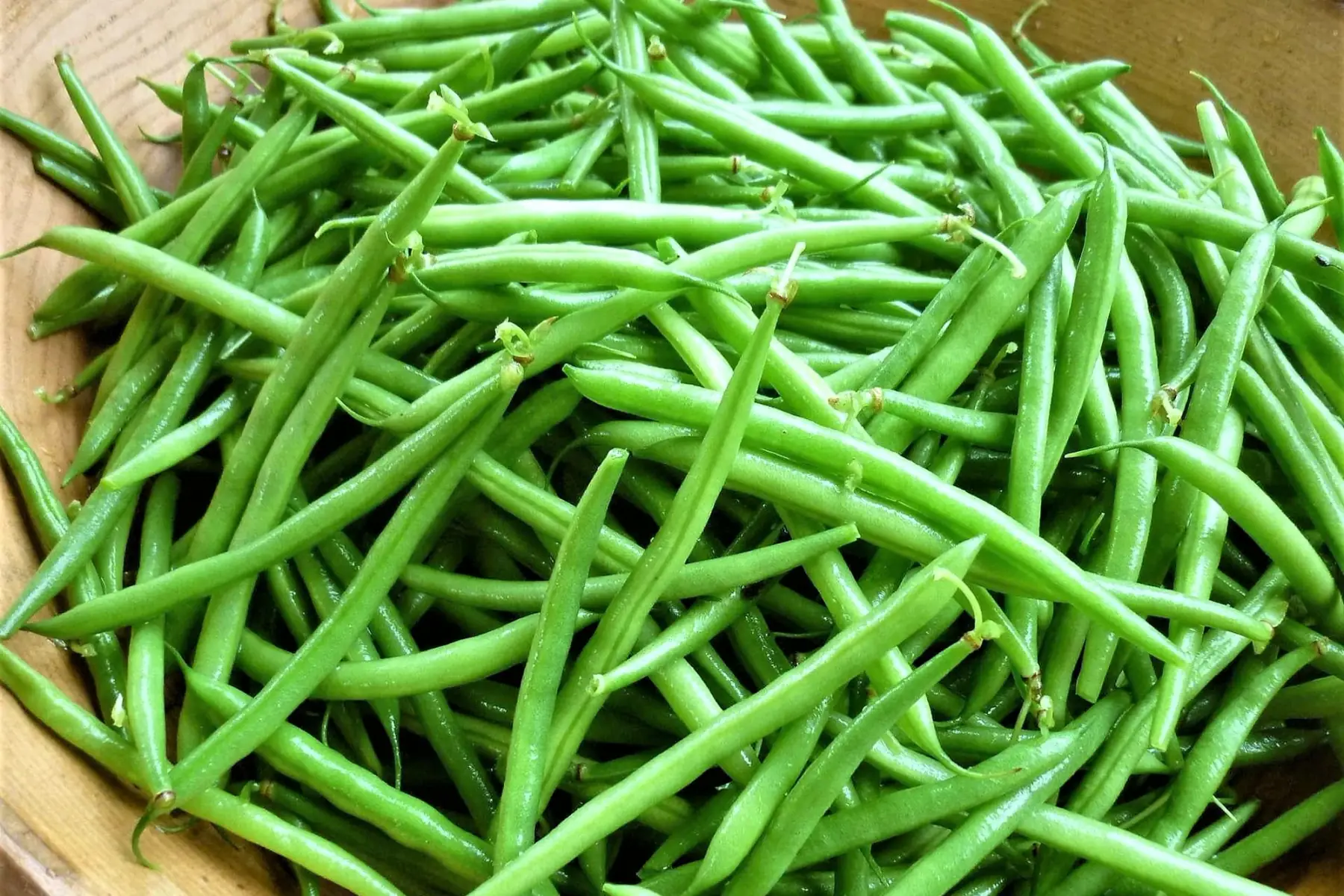 haricot vert