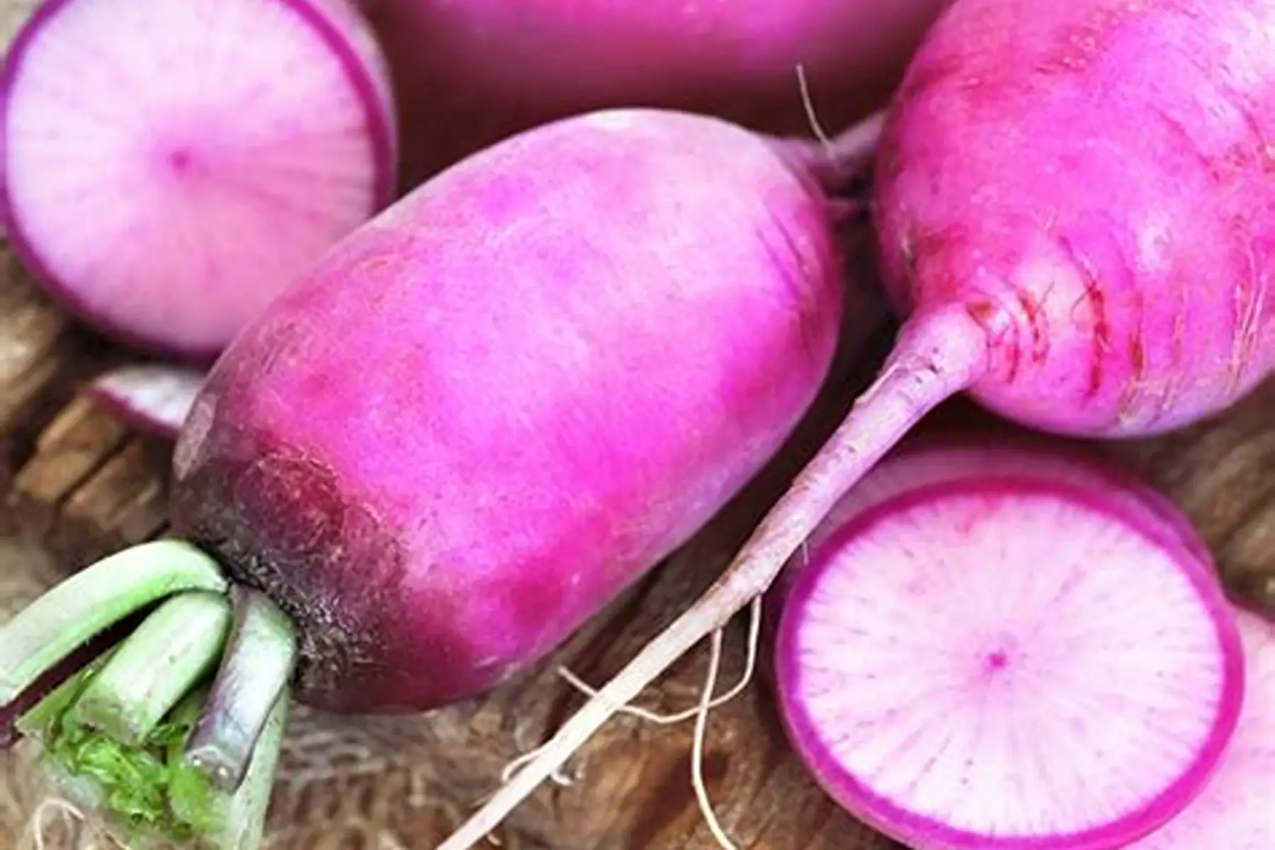 Radis asiatique - Blue candle