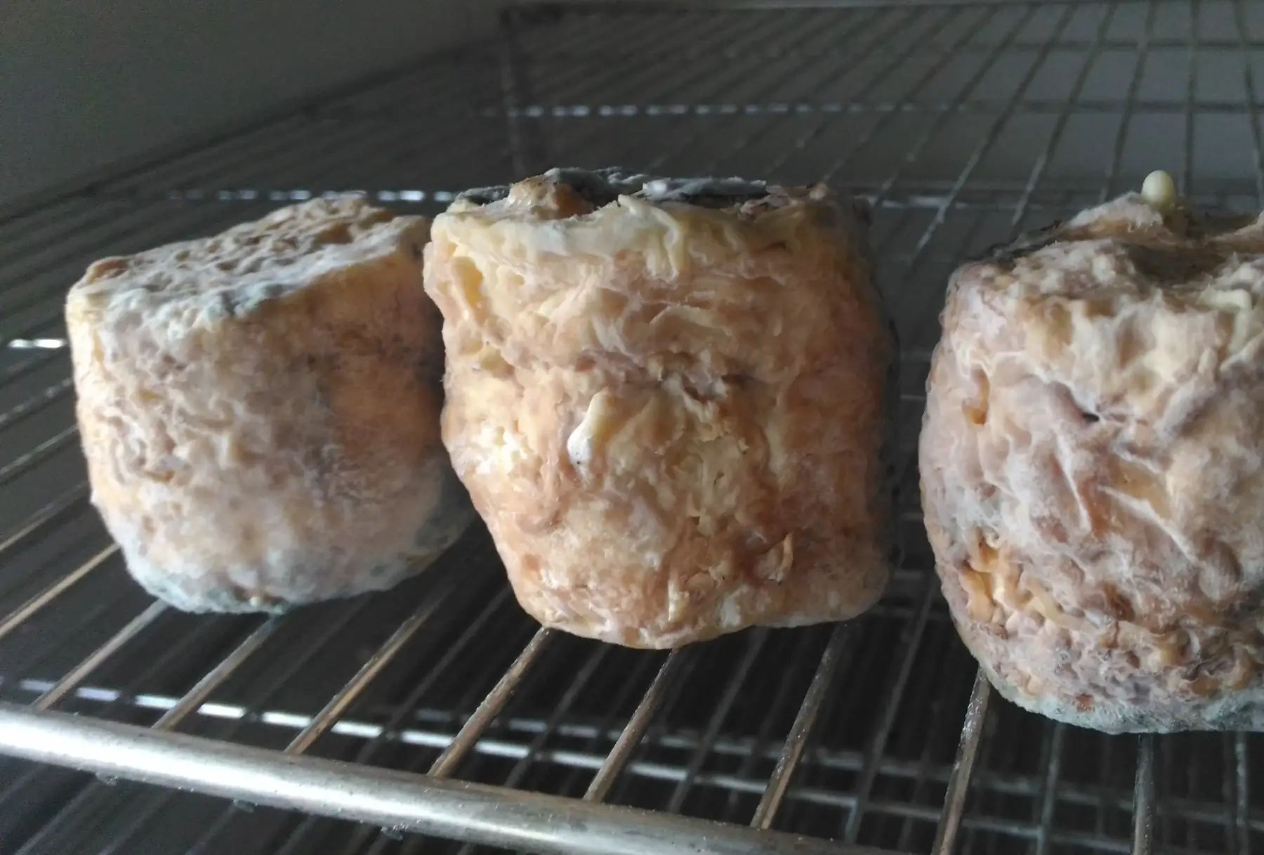 crottin chèvre aux noix