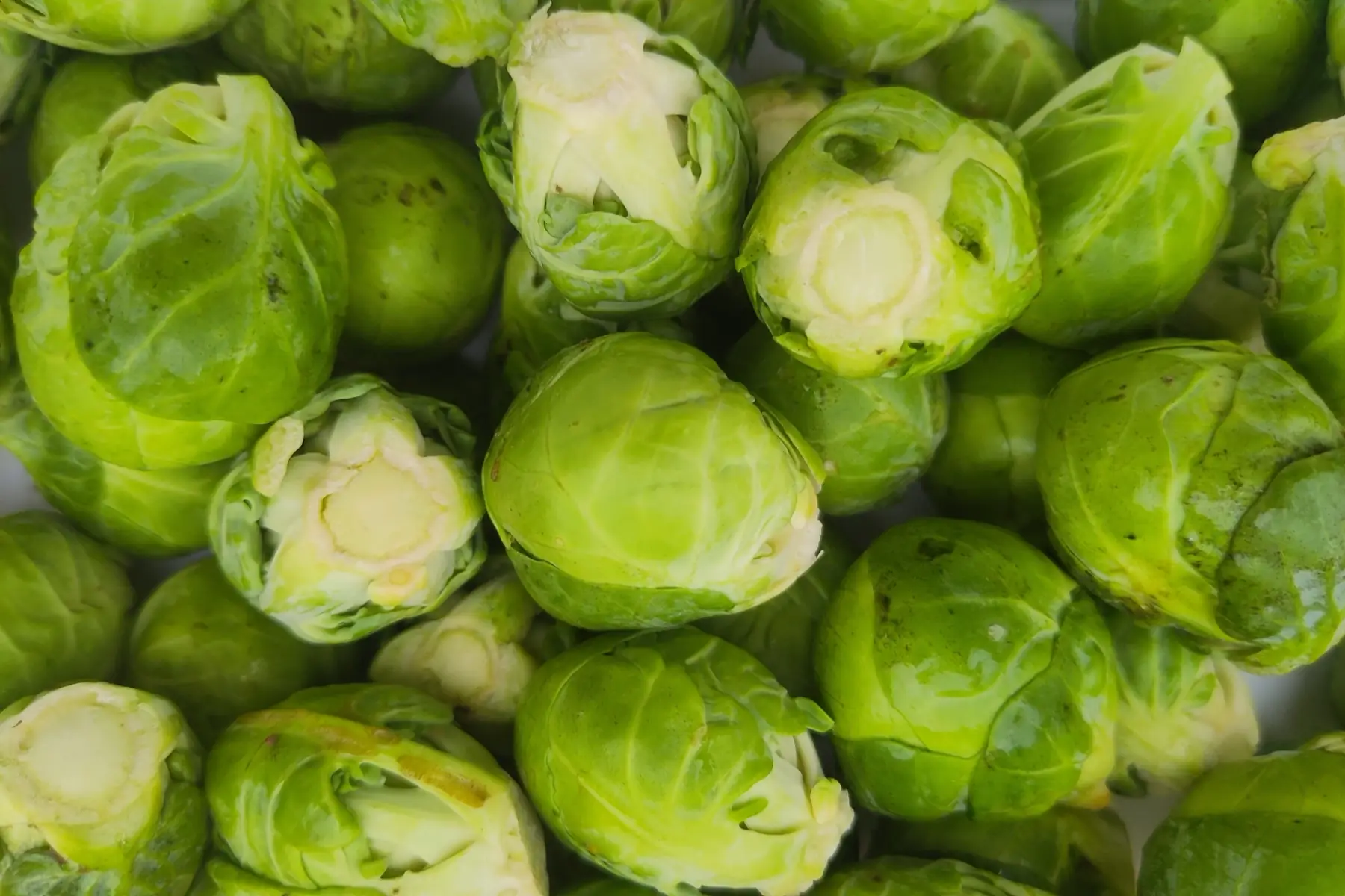 choux de Bruxelles