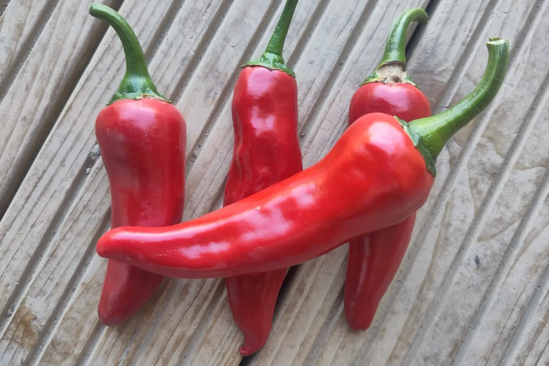 piment
