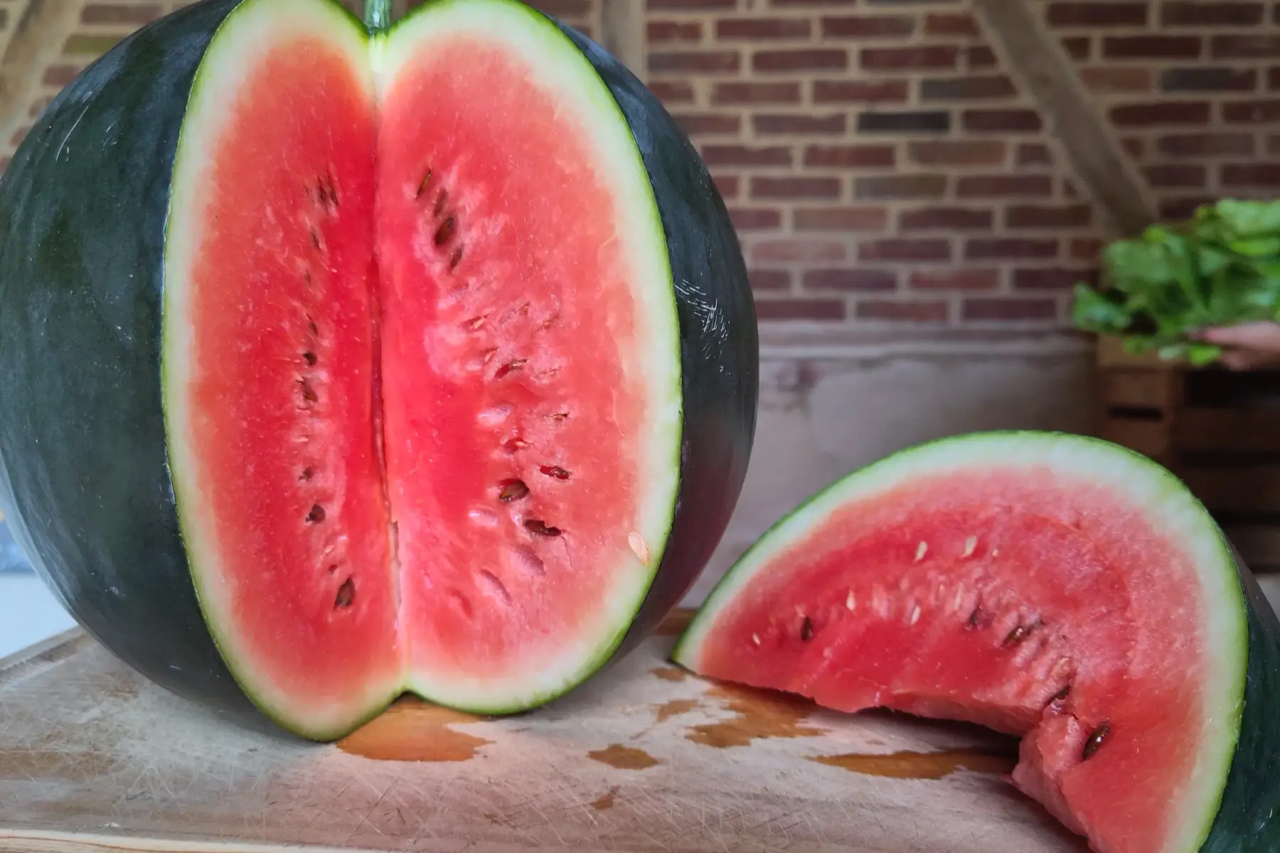 pastèque