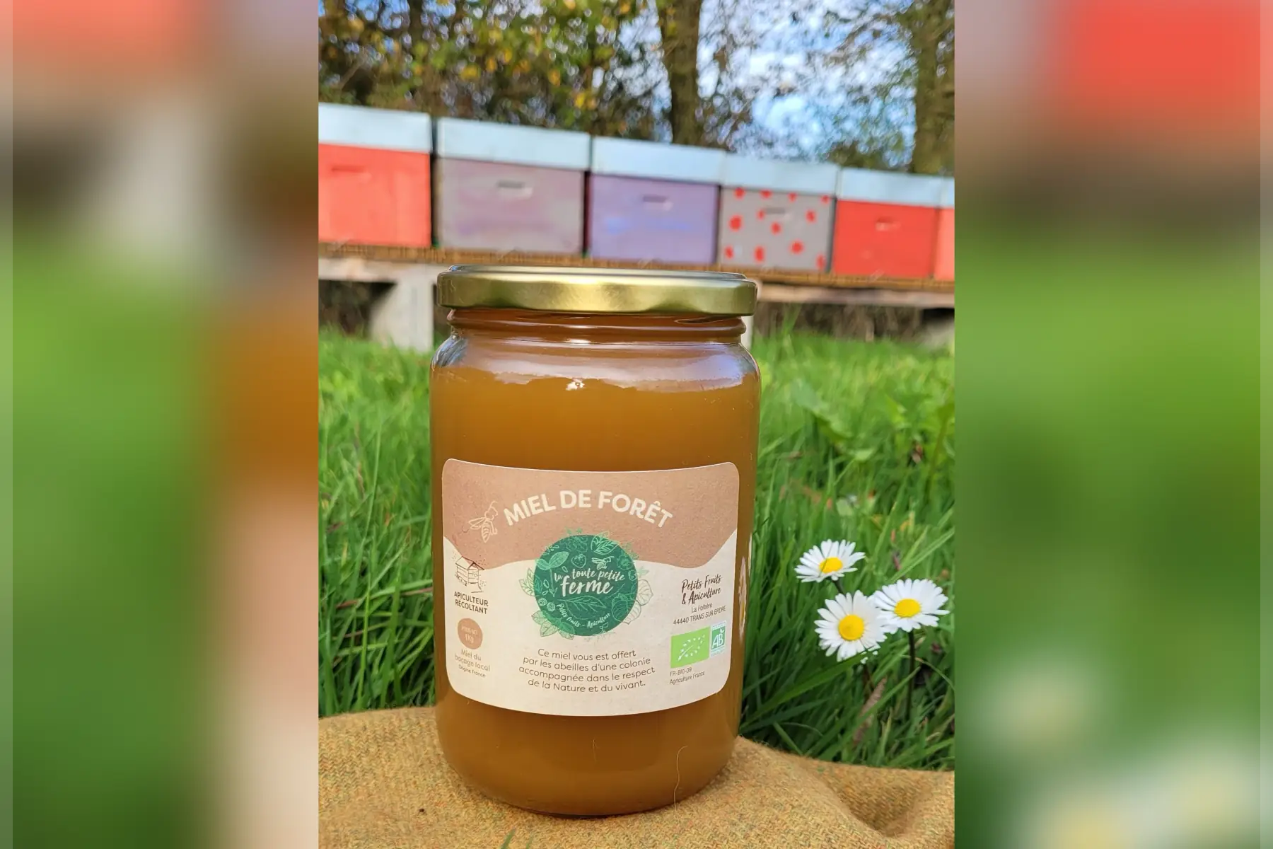 Miel de forêt - 1 kg