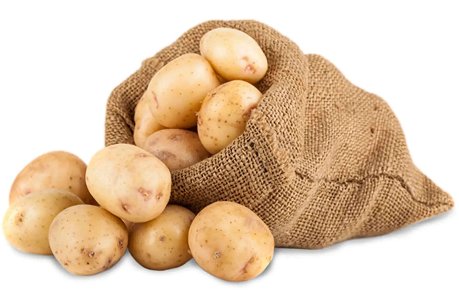 scea rousset - chazal