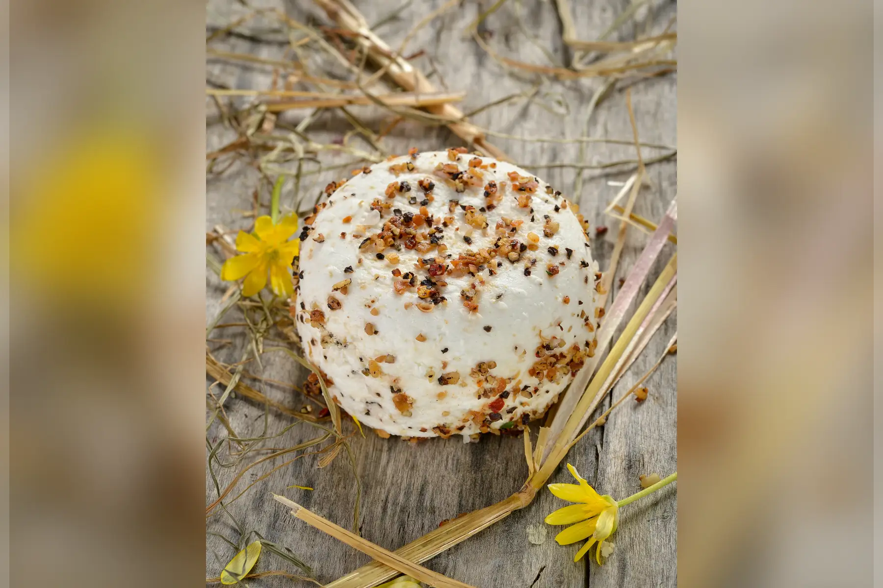 petit perche trappeur