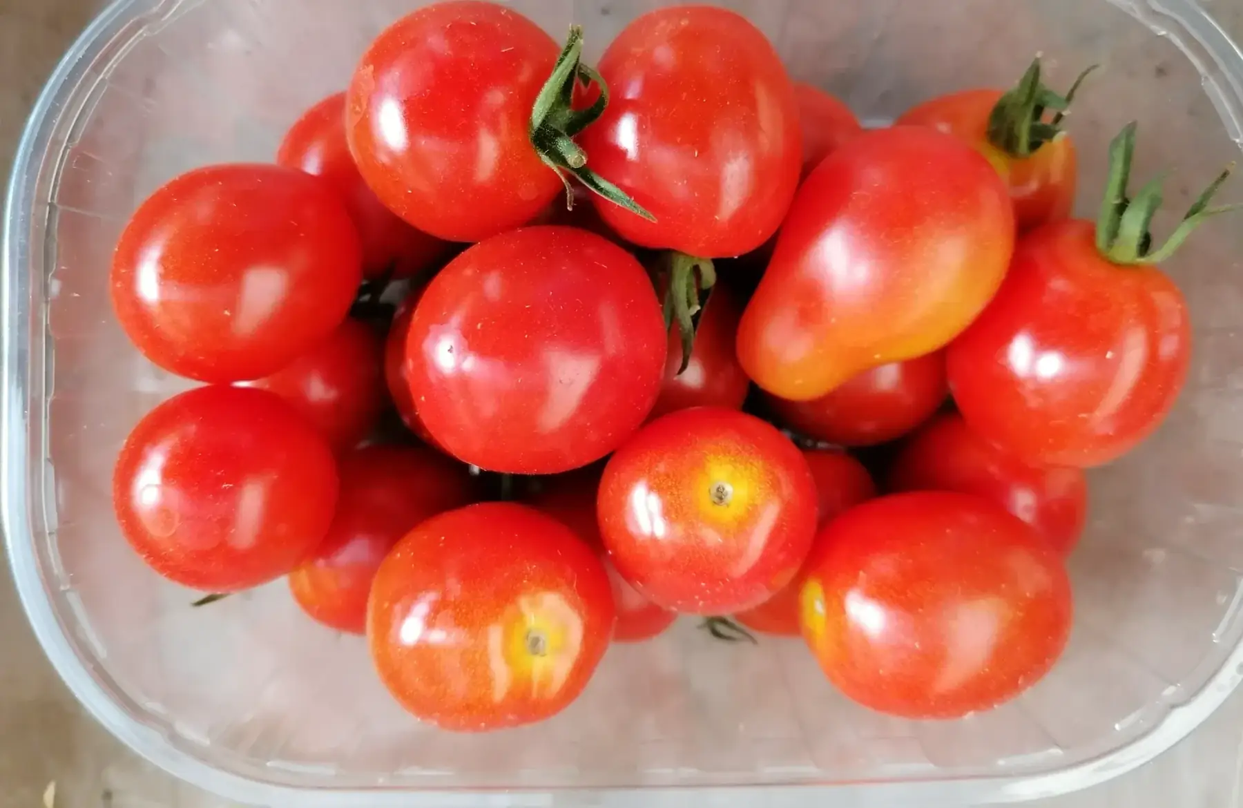 tomates cerises barquette 250g