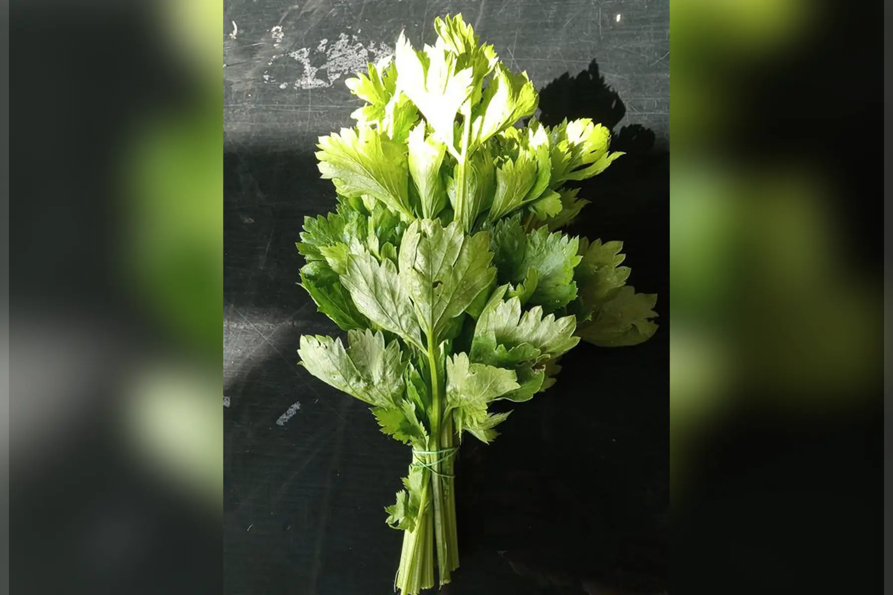 Association Régie Urbaine