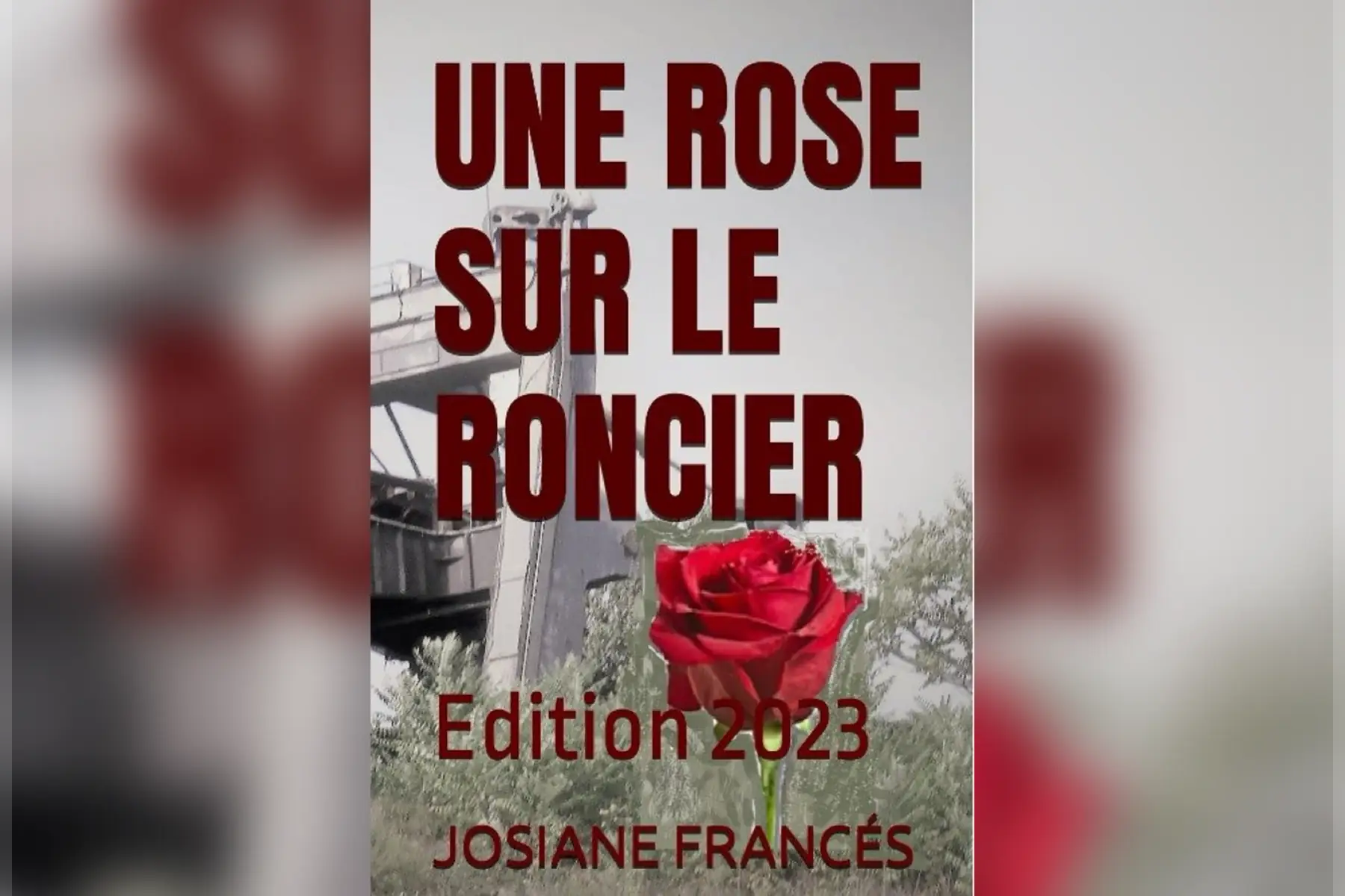 une rose sur le roncier