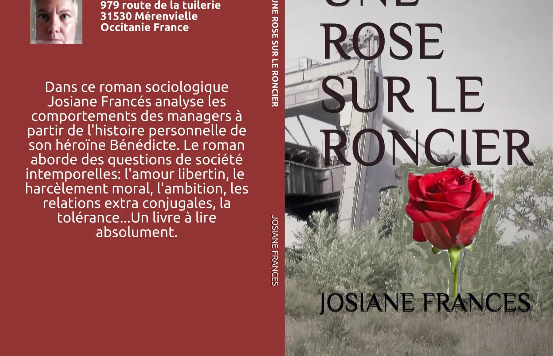 une rose sur le roncier