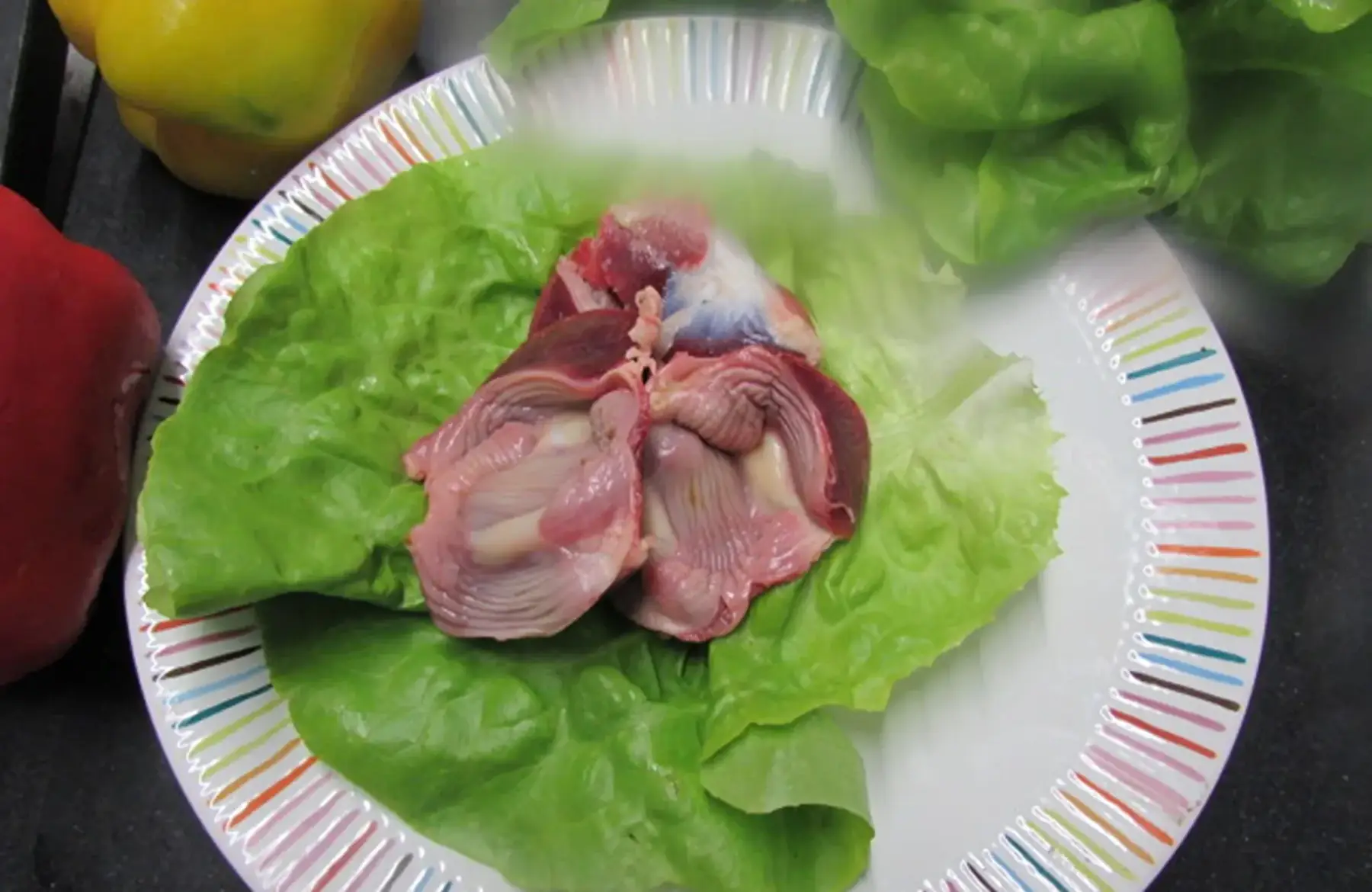 gésiers crus de volailles bio