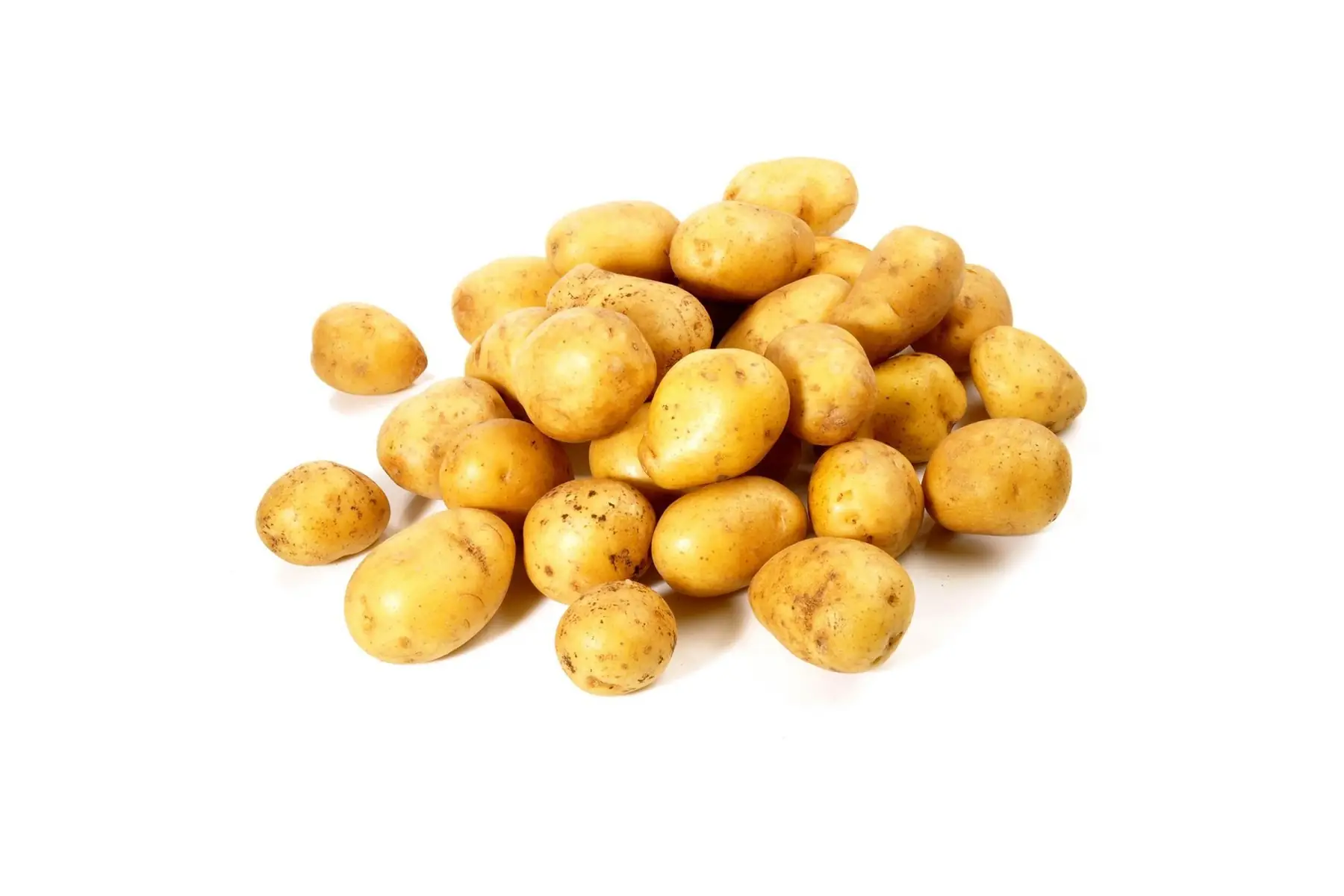 pomme de terre Charlotte