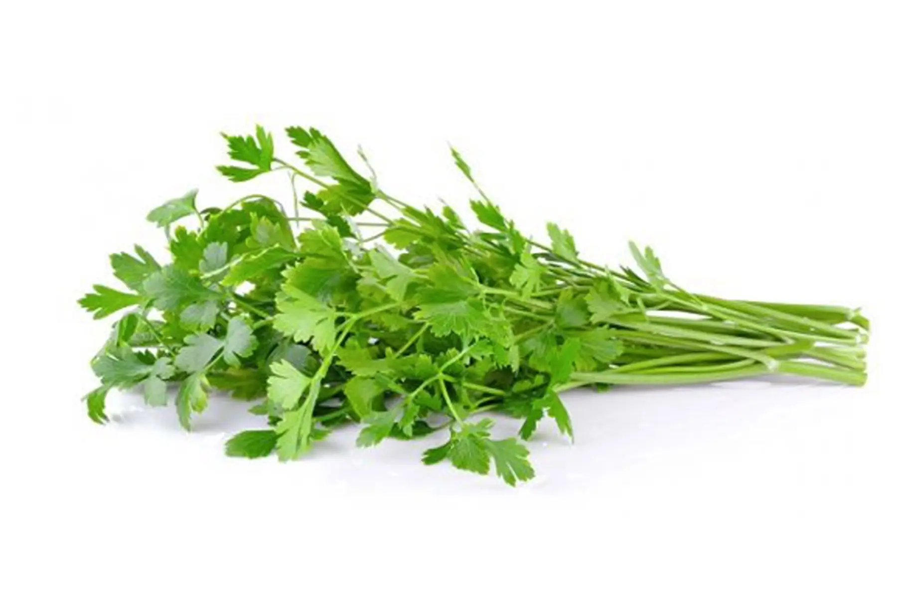 persil plat en botte