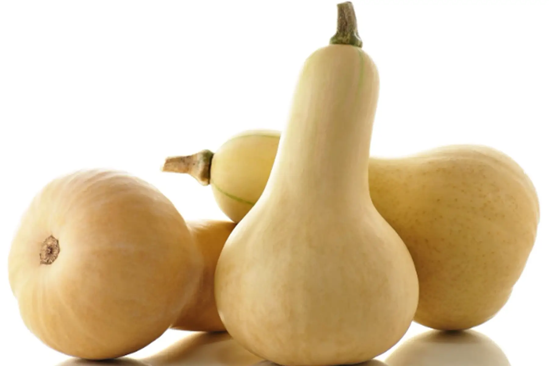 courge petite butternut