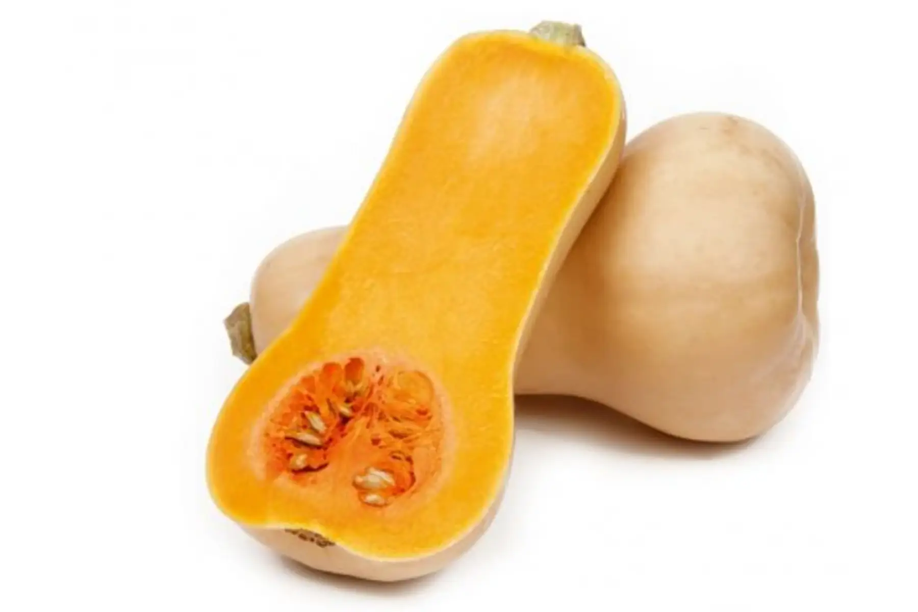 courge grosse butternut