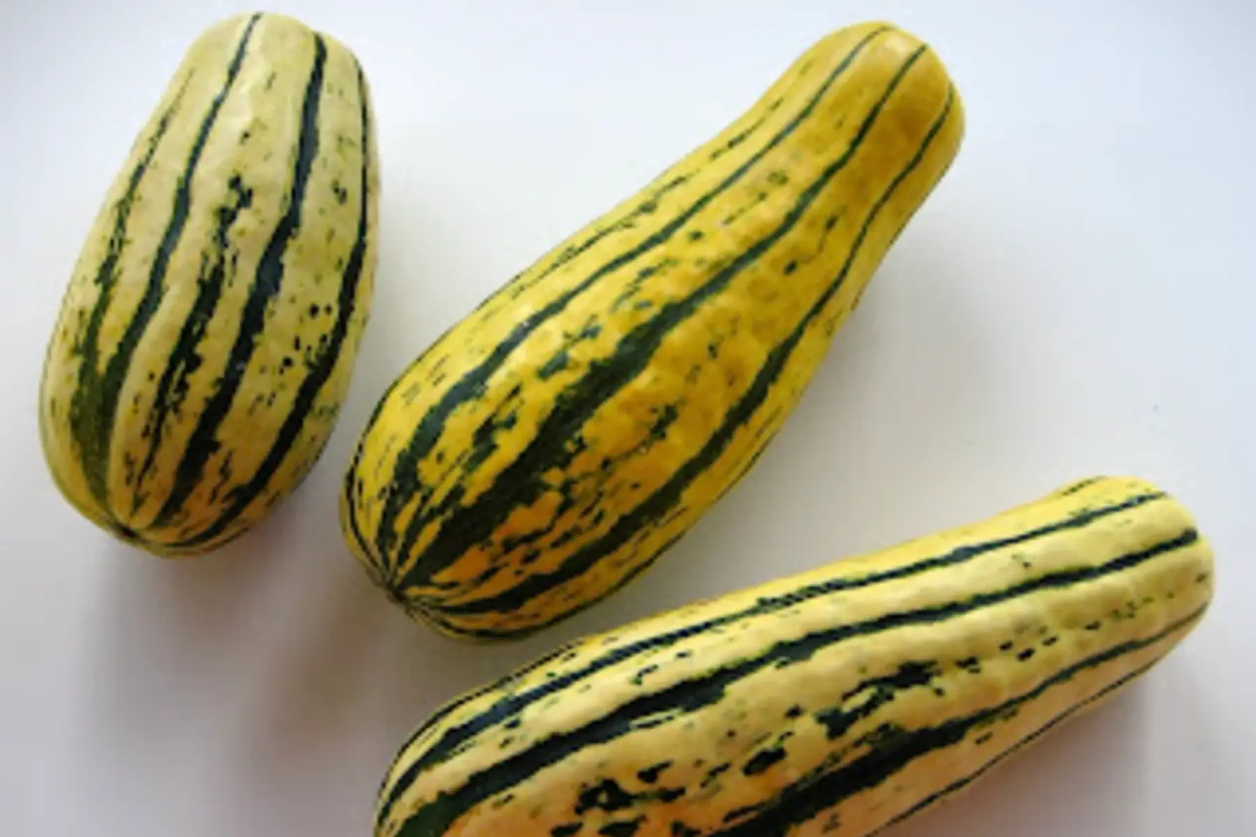courge delicata (style patidou)