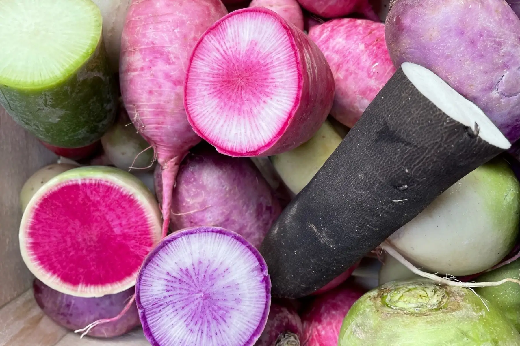 Radis rave blanc, noir, violet