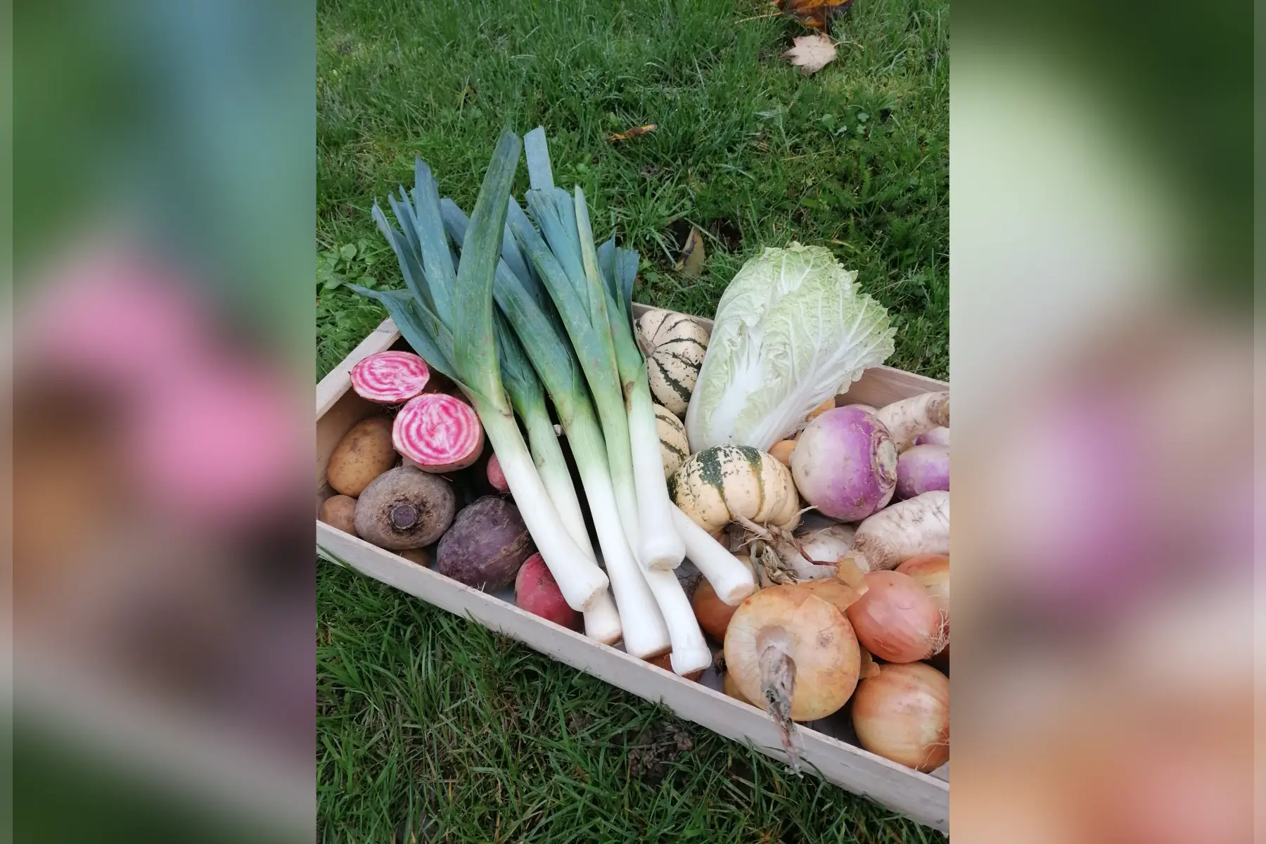 panier de legumes de saison 4 personnes