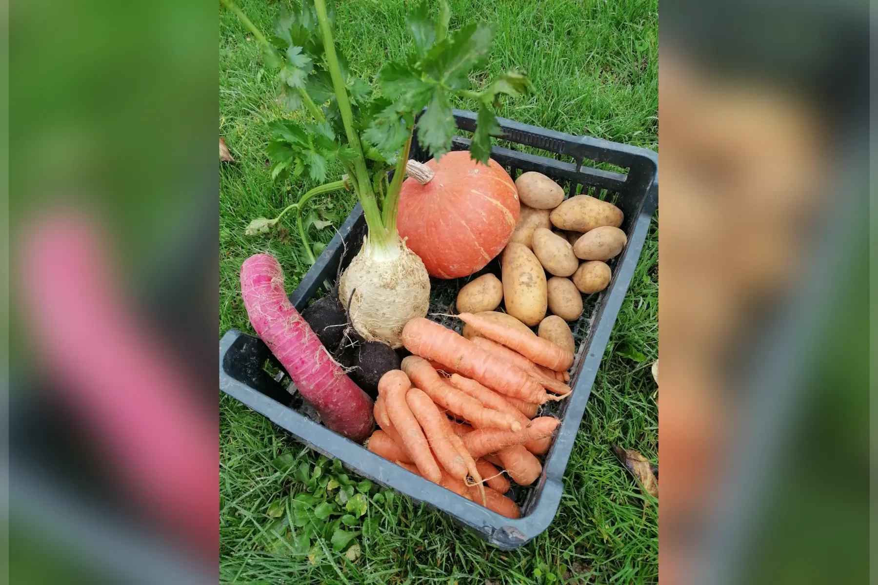 panier de legumes de saison 2 personnes
