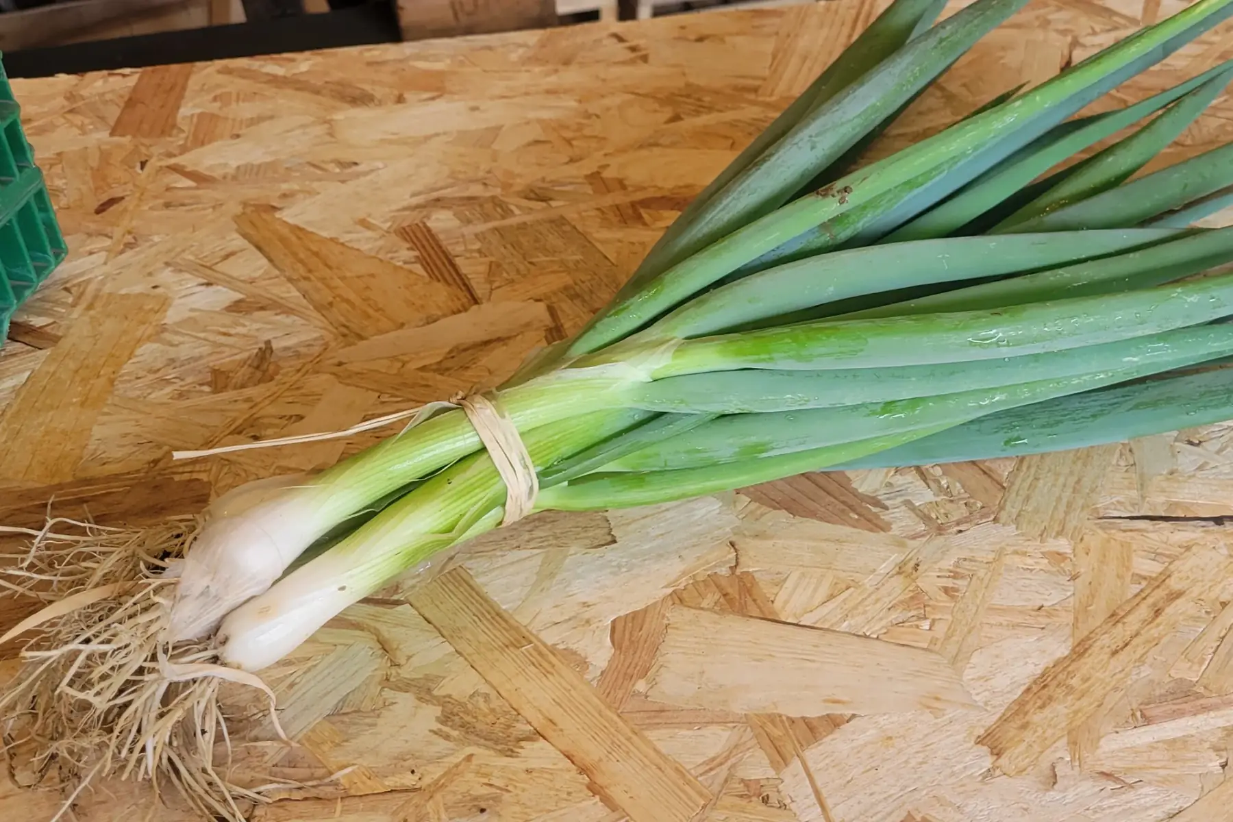 botte de ciboule asiatique bio