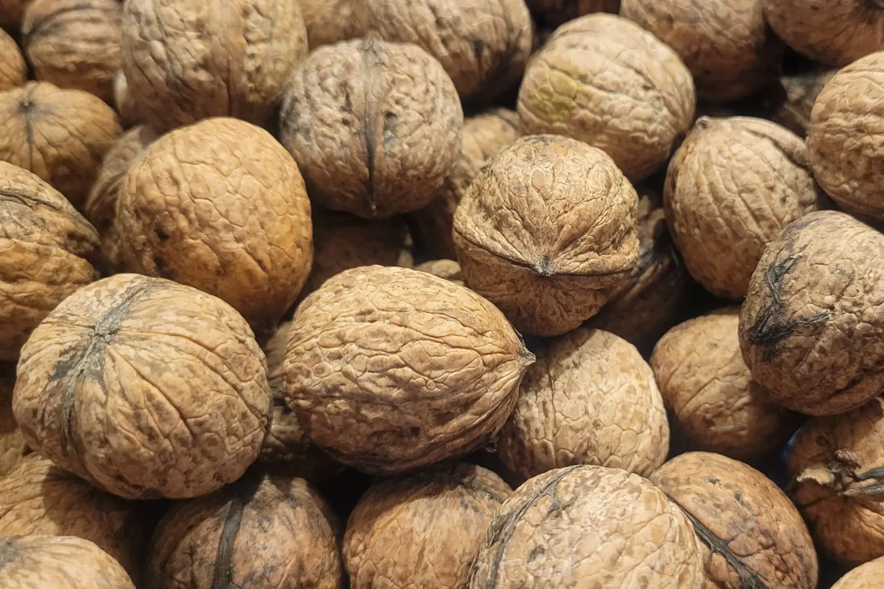 La Fermette des Marais