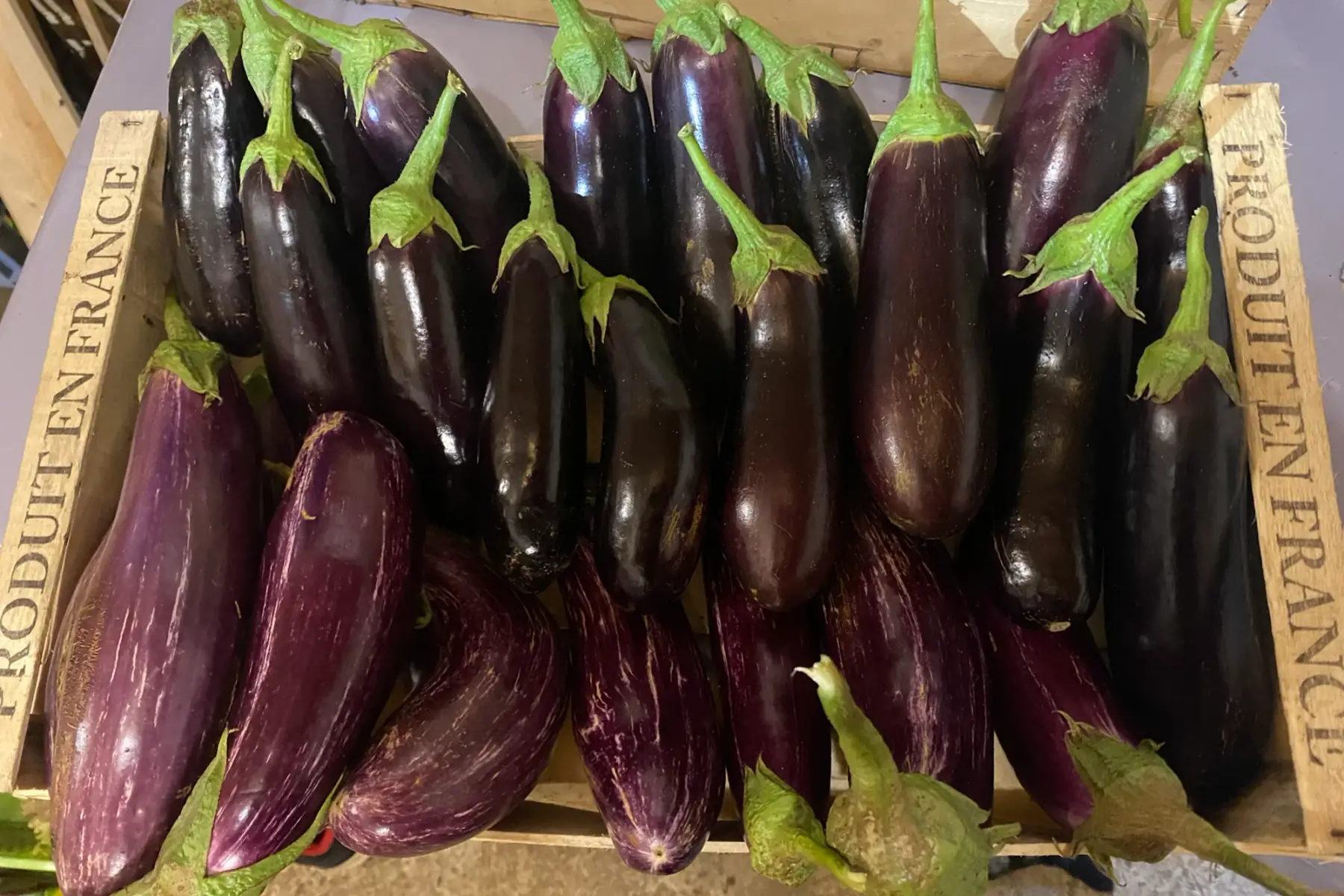 aubergines