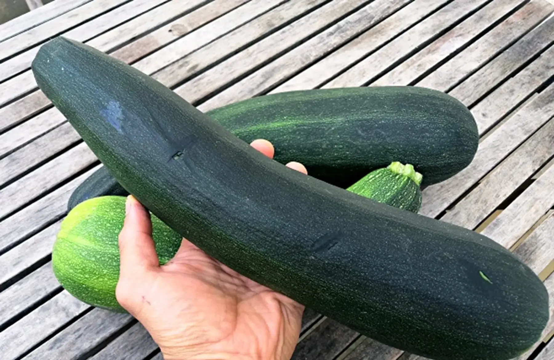 **promo** courgettes à farcir