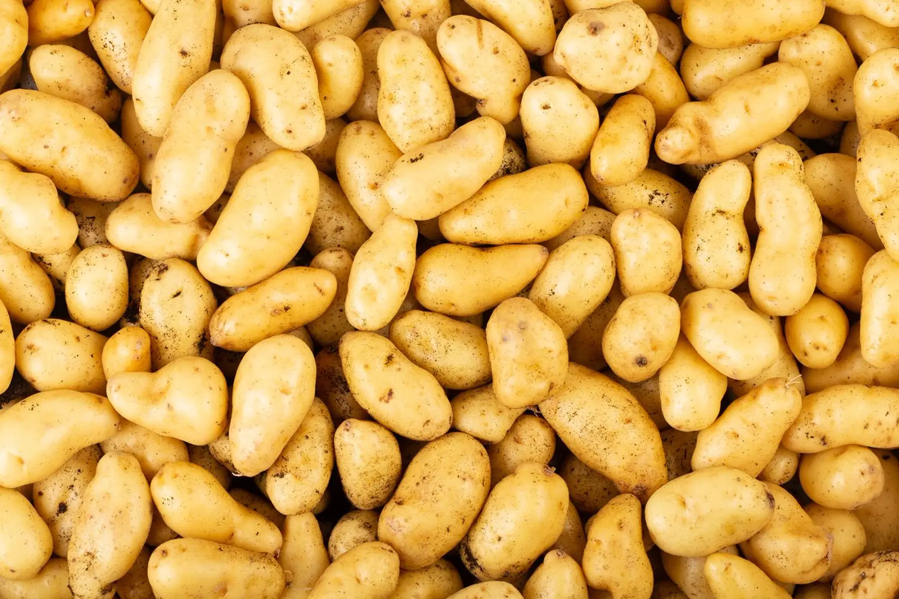 pommes de terre "grenaille"