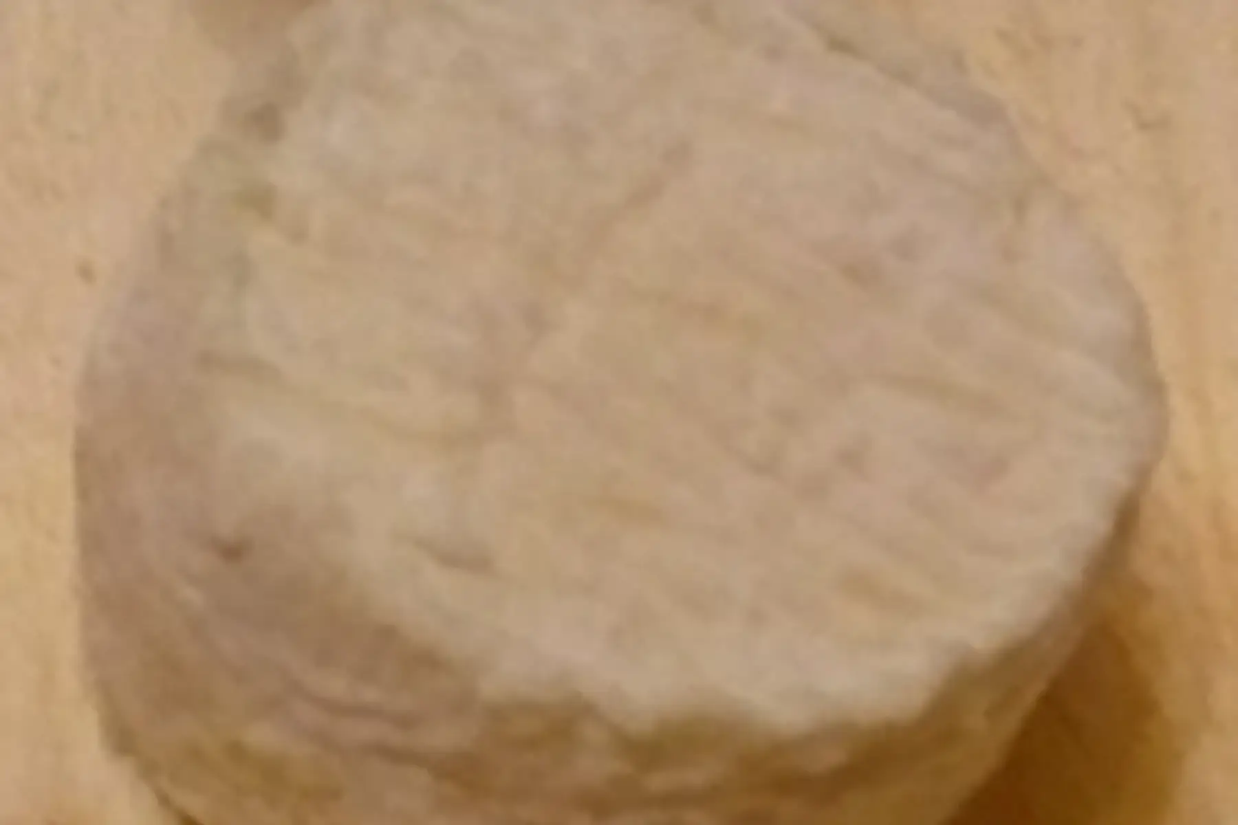 Crottins frais de chèvre