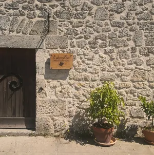 l abeille au bois dormant