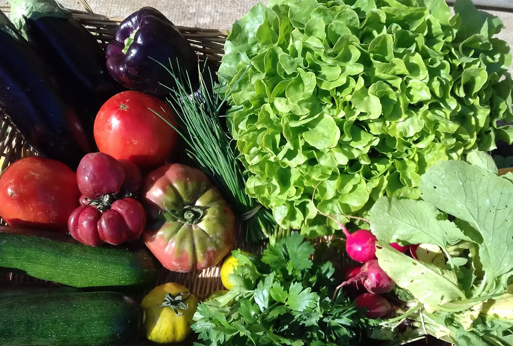 petit panier de légumes