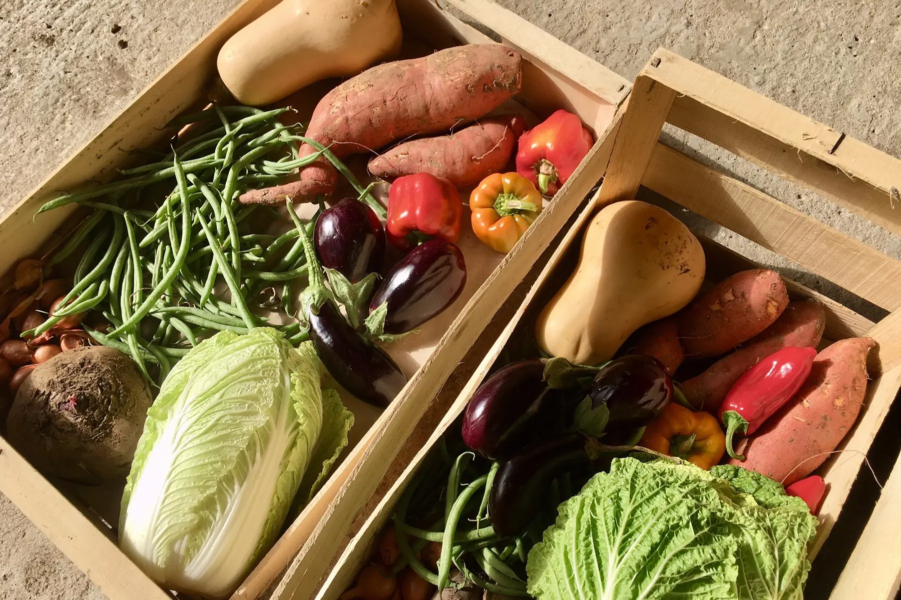 panier de légumes de saison grande taille