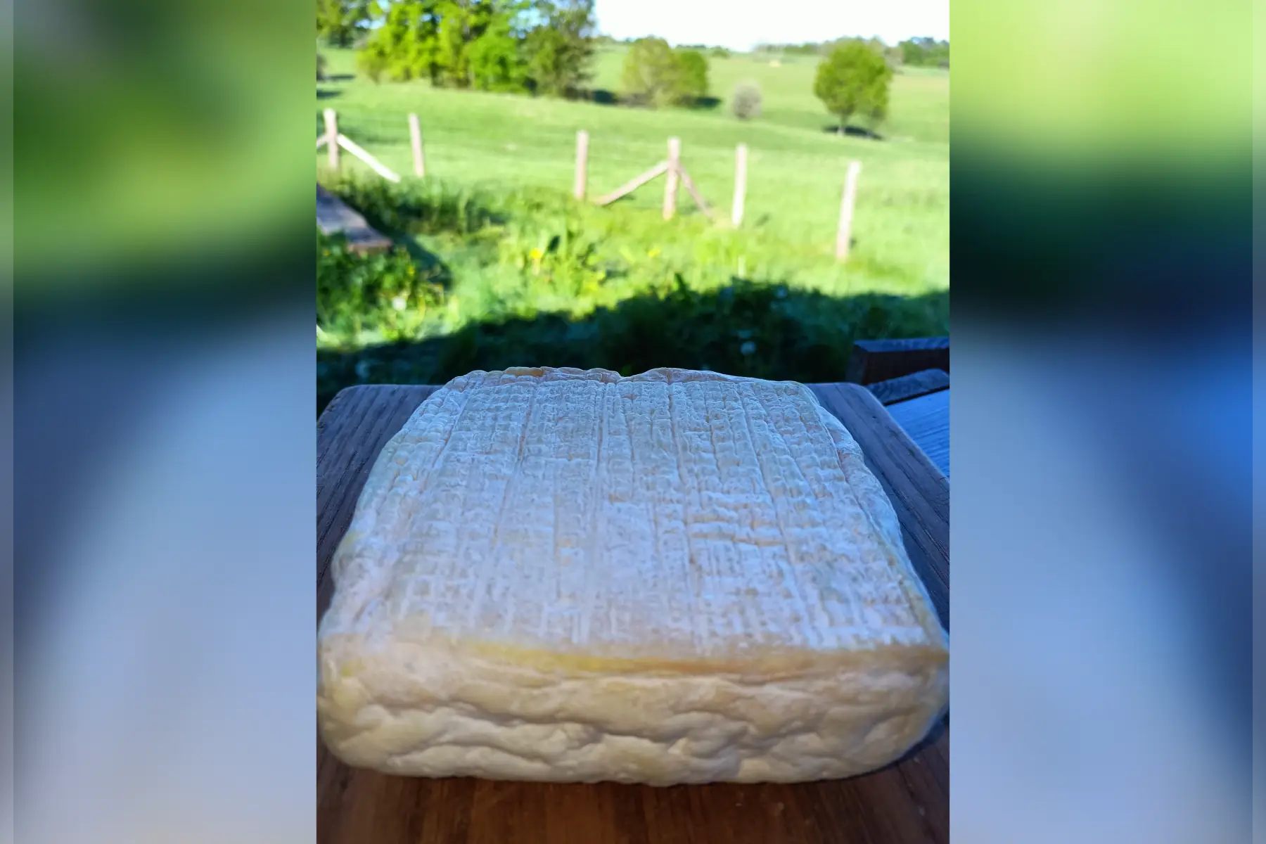 gaec la grande chaux