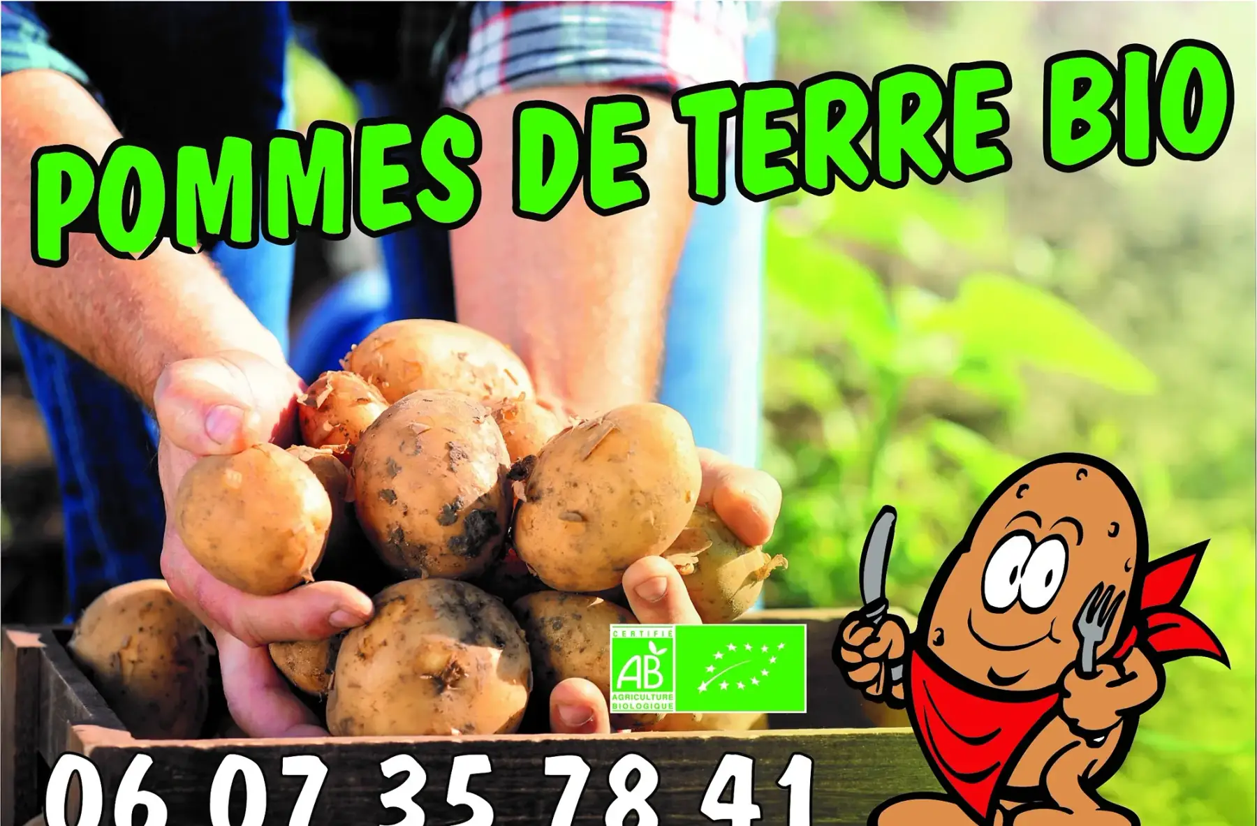pommes de terre