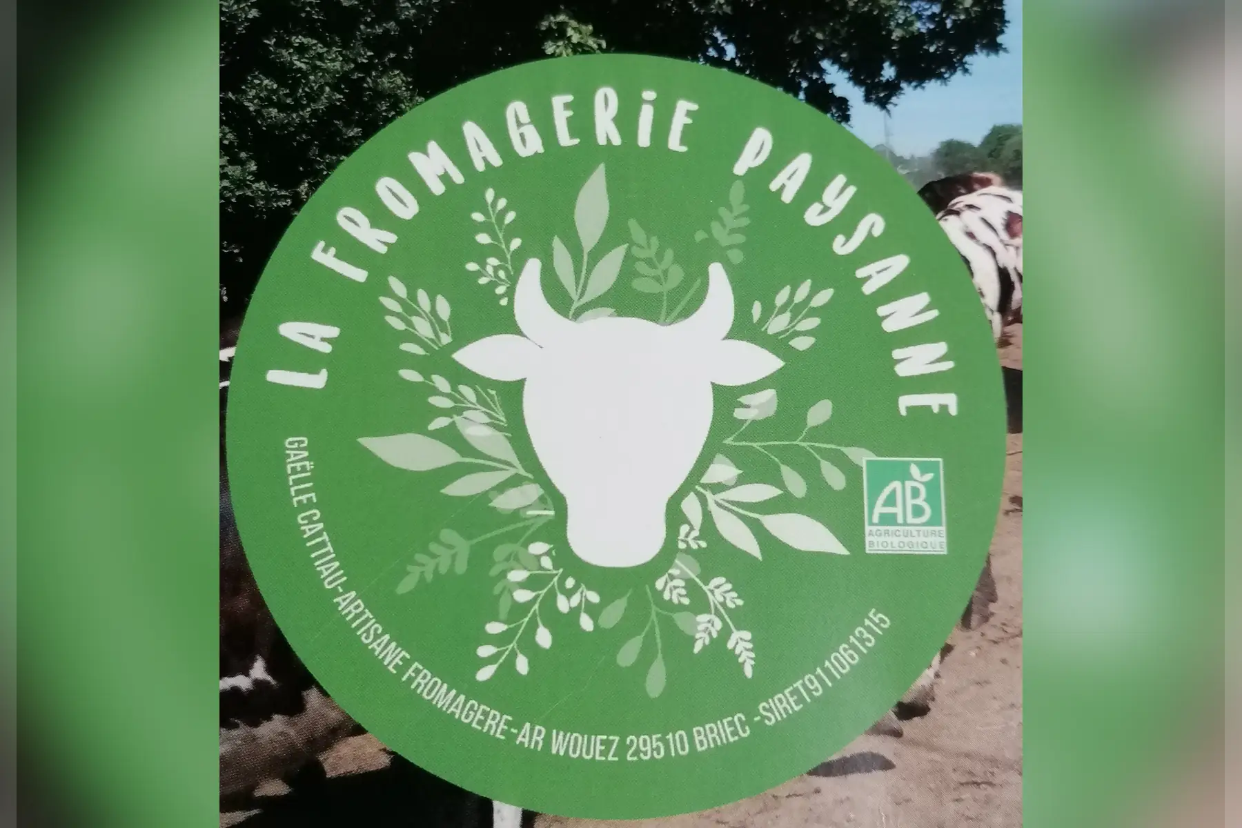 tomme de vache nature