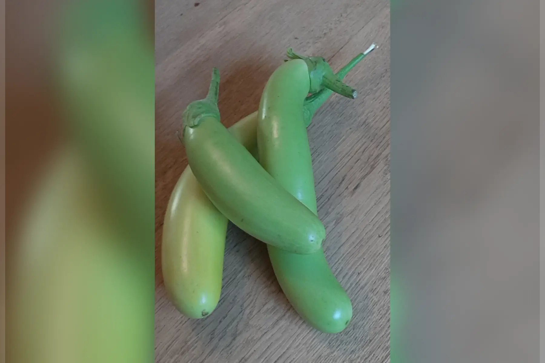 aubergines vertes variété thaï long green
