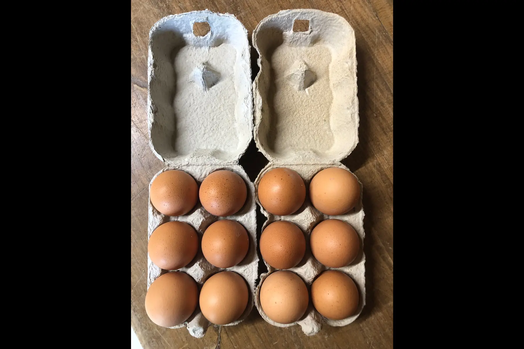 gaec du champ a la ferme