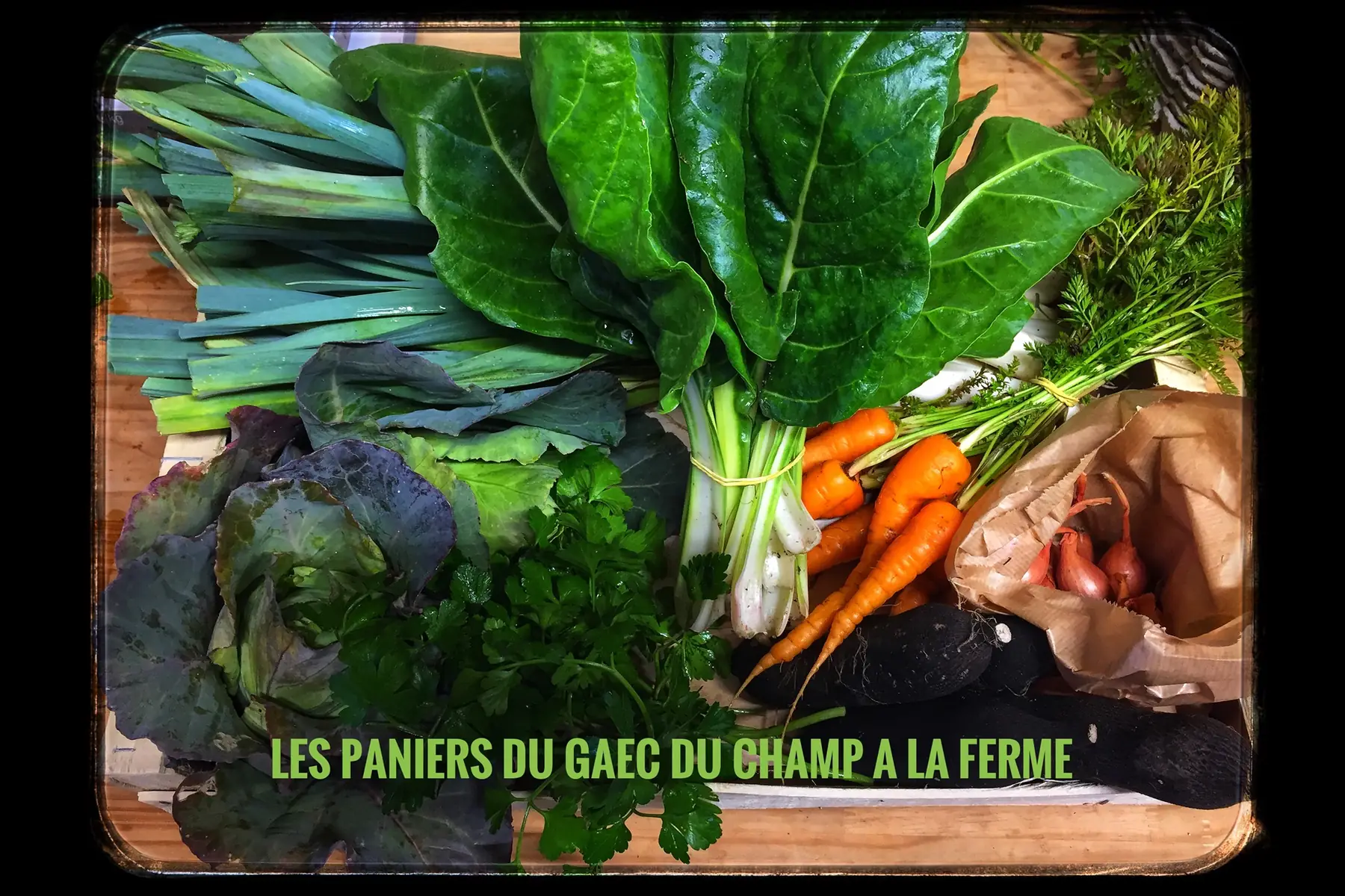 petit panier de légumes ab