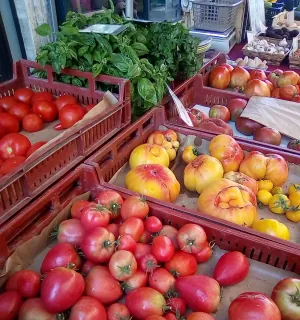 les jardins de la menoue