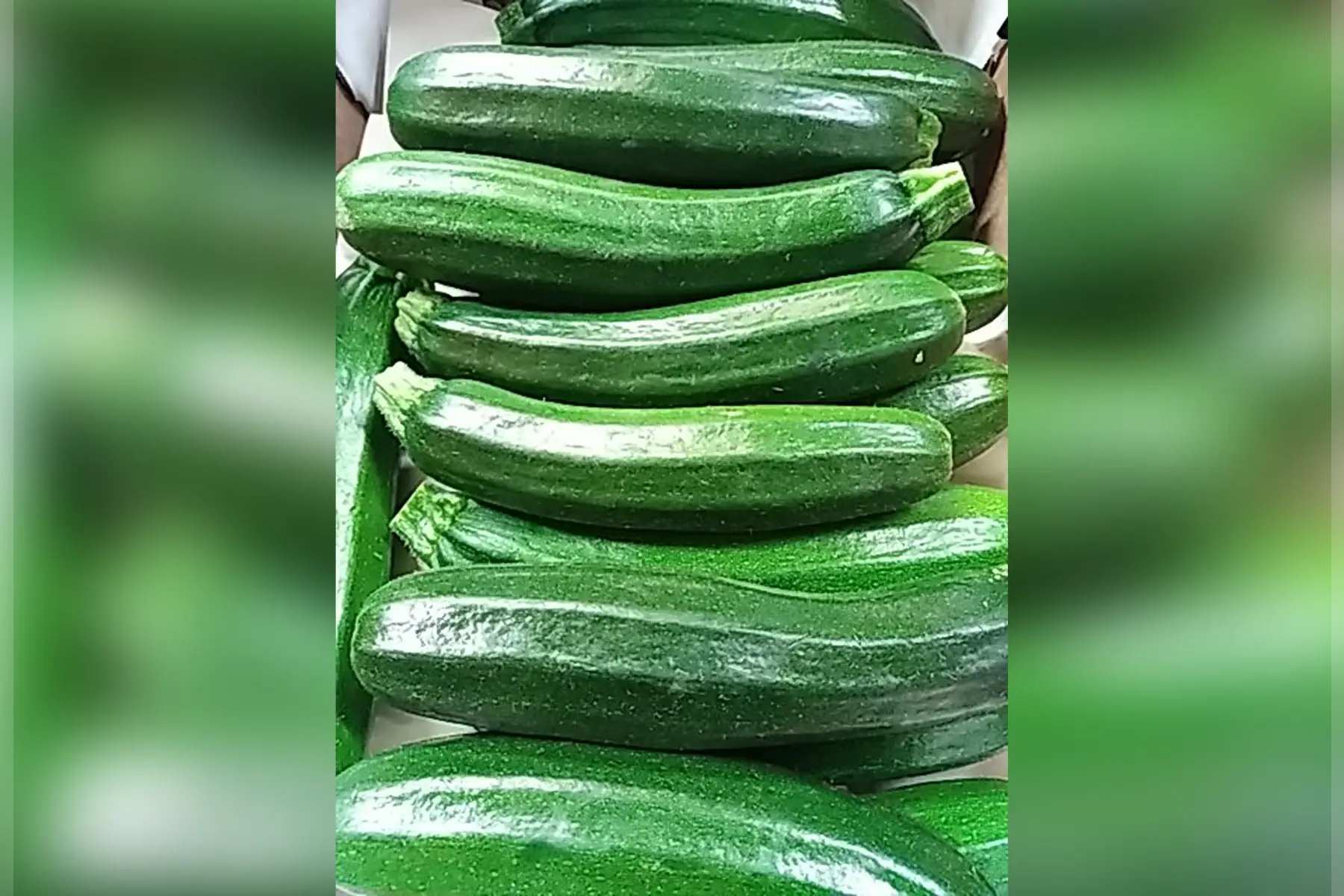 magasin - courgette verte