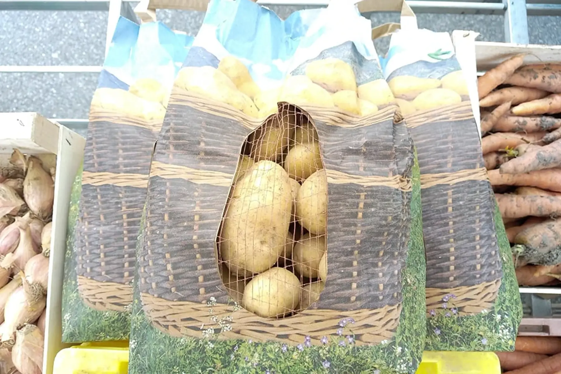 pomme de terre - sac