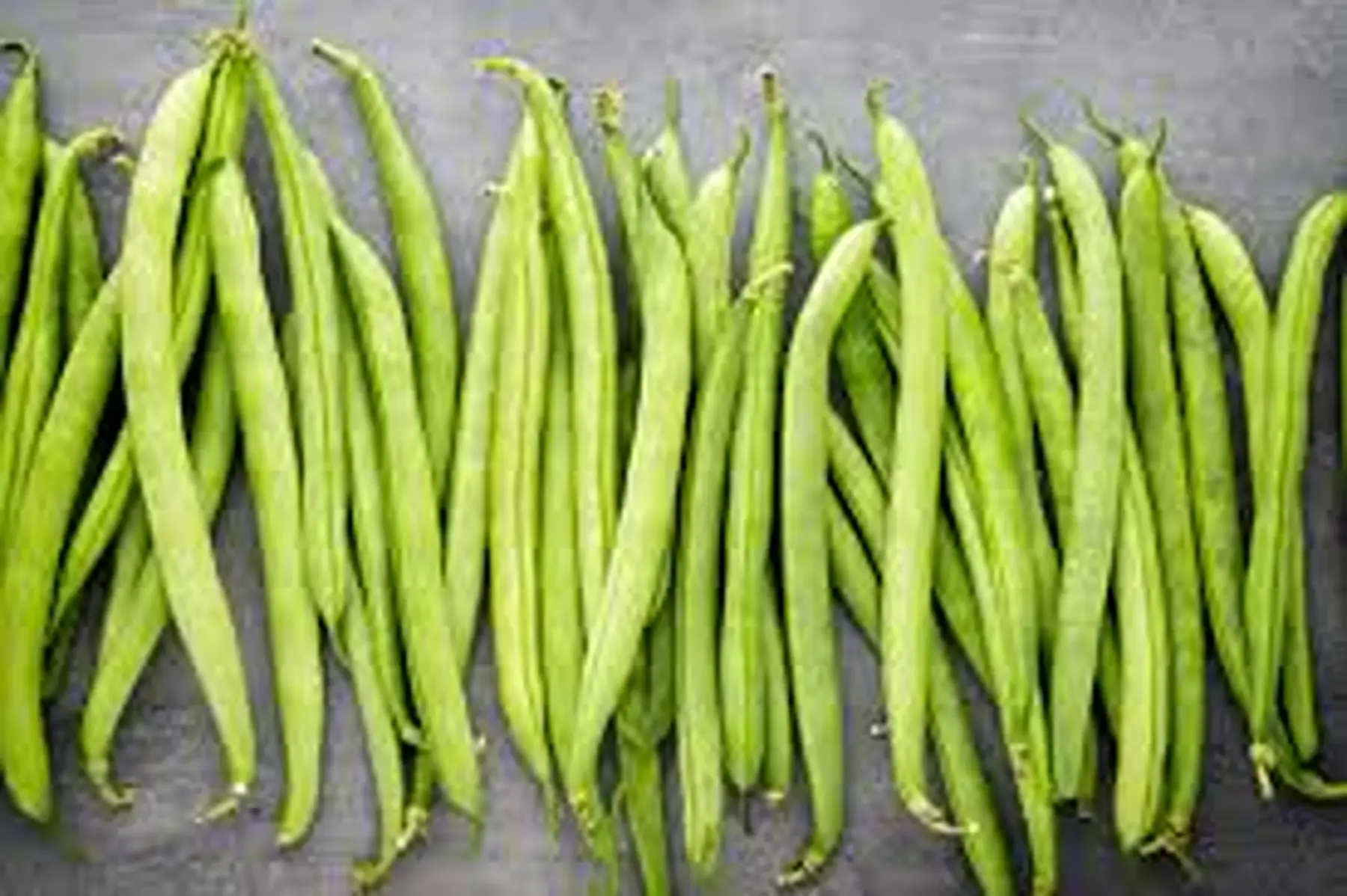 haricot vert extra fin